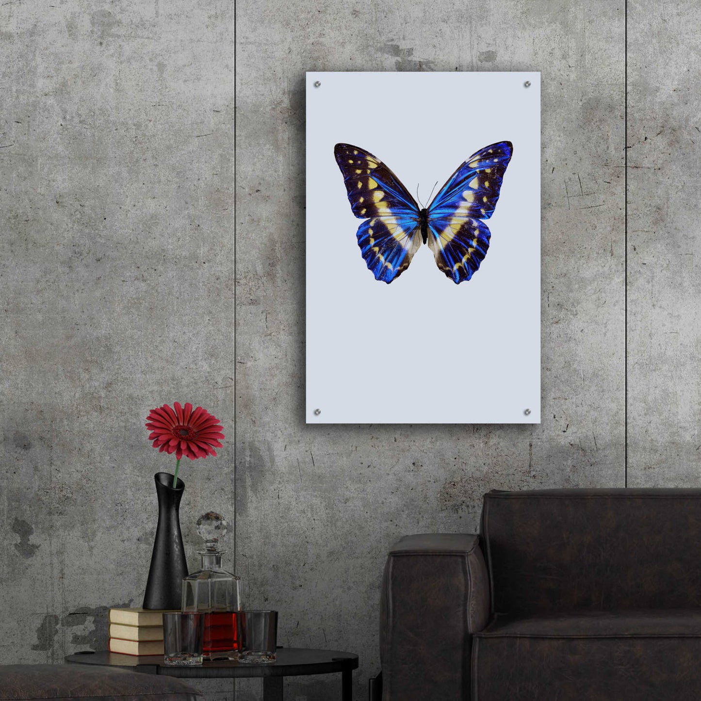 Epic Art 'Blue Butterfly' by Incado, Acrylic Glass Wall Art,24x36