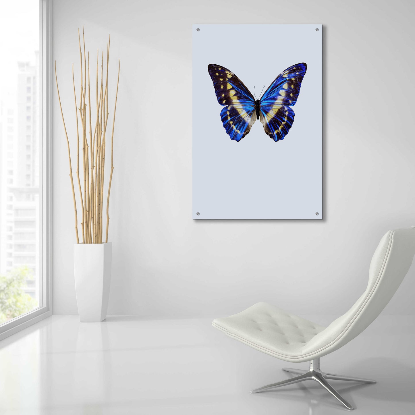 Epic Art 'Blue Butterfly' by Incado, Acrylic Glass Wall Art,24x36