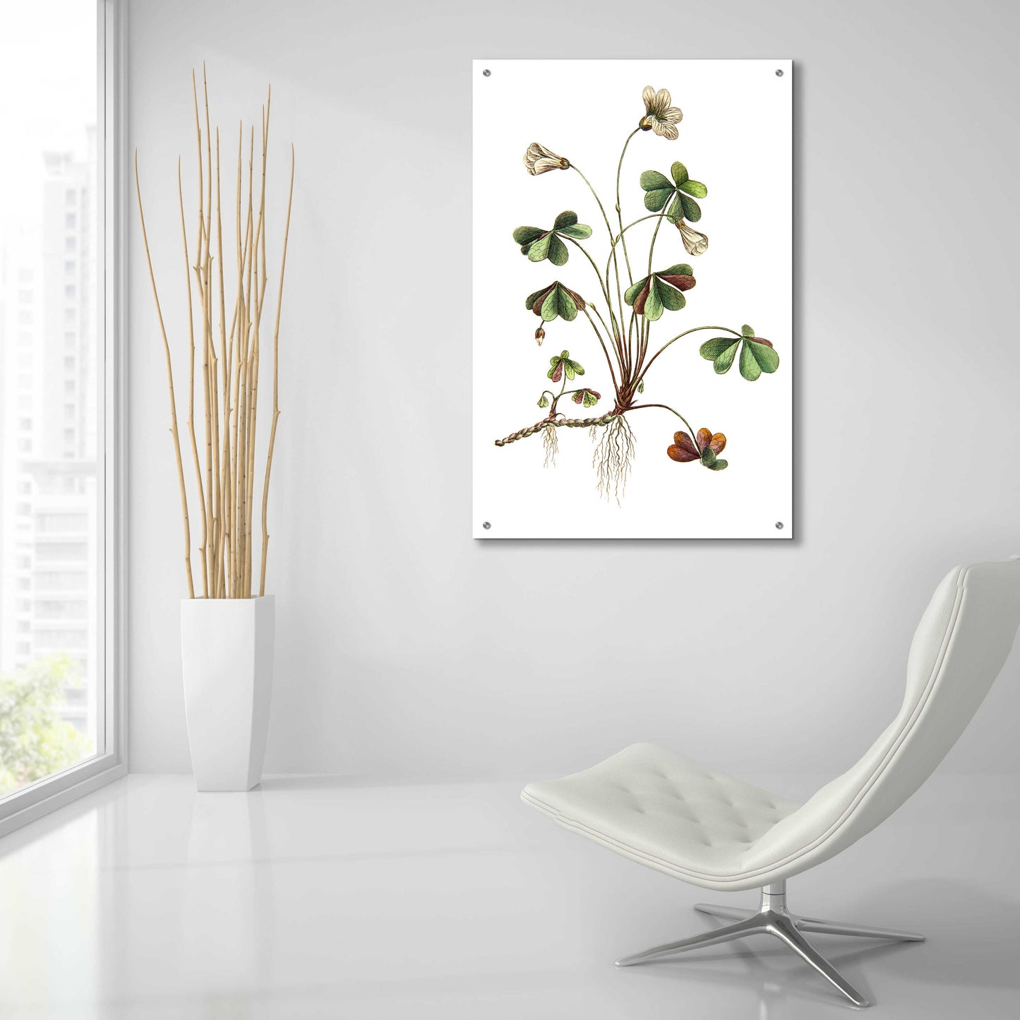 Epic Art 'Botanica II' by Incado, Acrylic Glass Wall Art,24x36