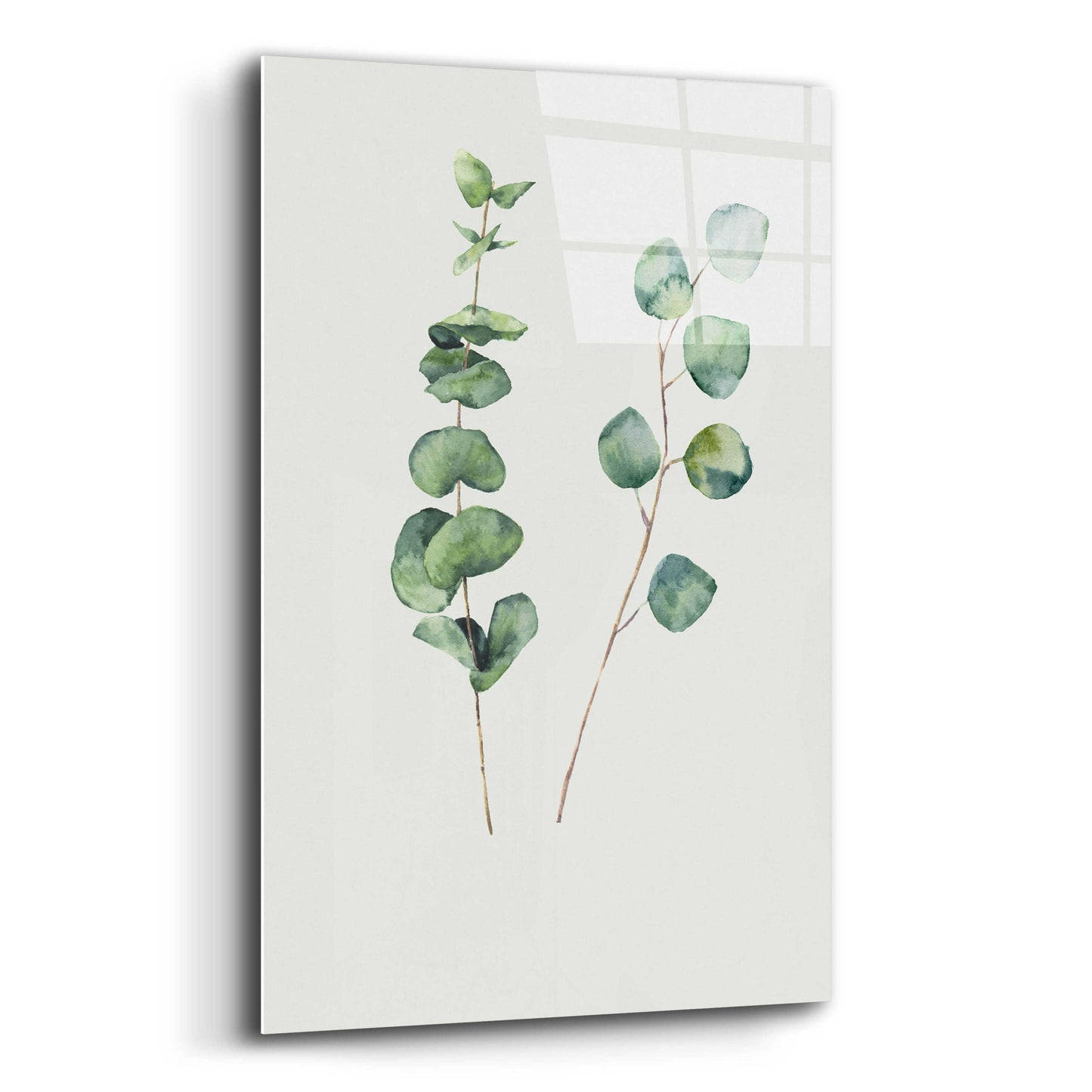 Epic Art 'Botanical I' by Incado, Acrylic Glass Wall Art,12x16