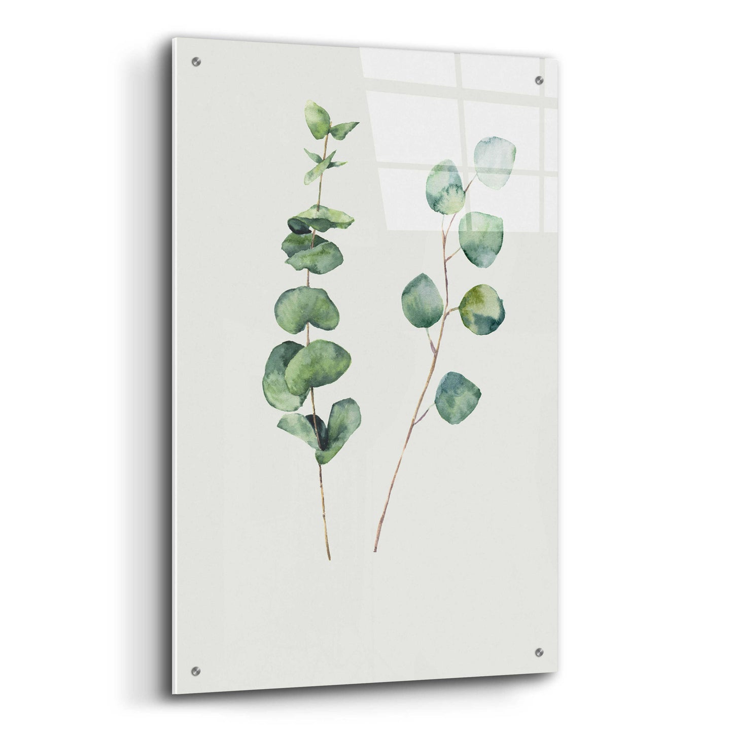 Epic Art 'Botanical I' by Incado, Acrylic Glass Wall Art,24x36