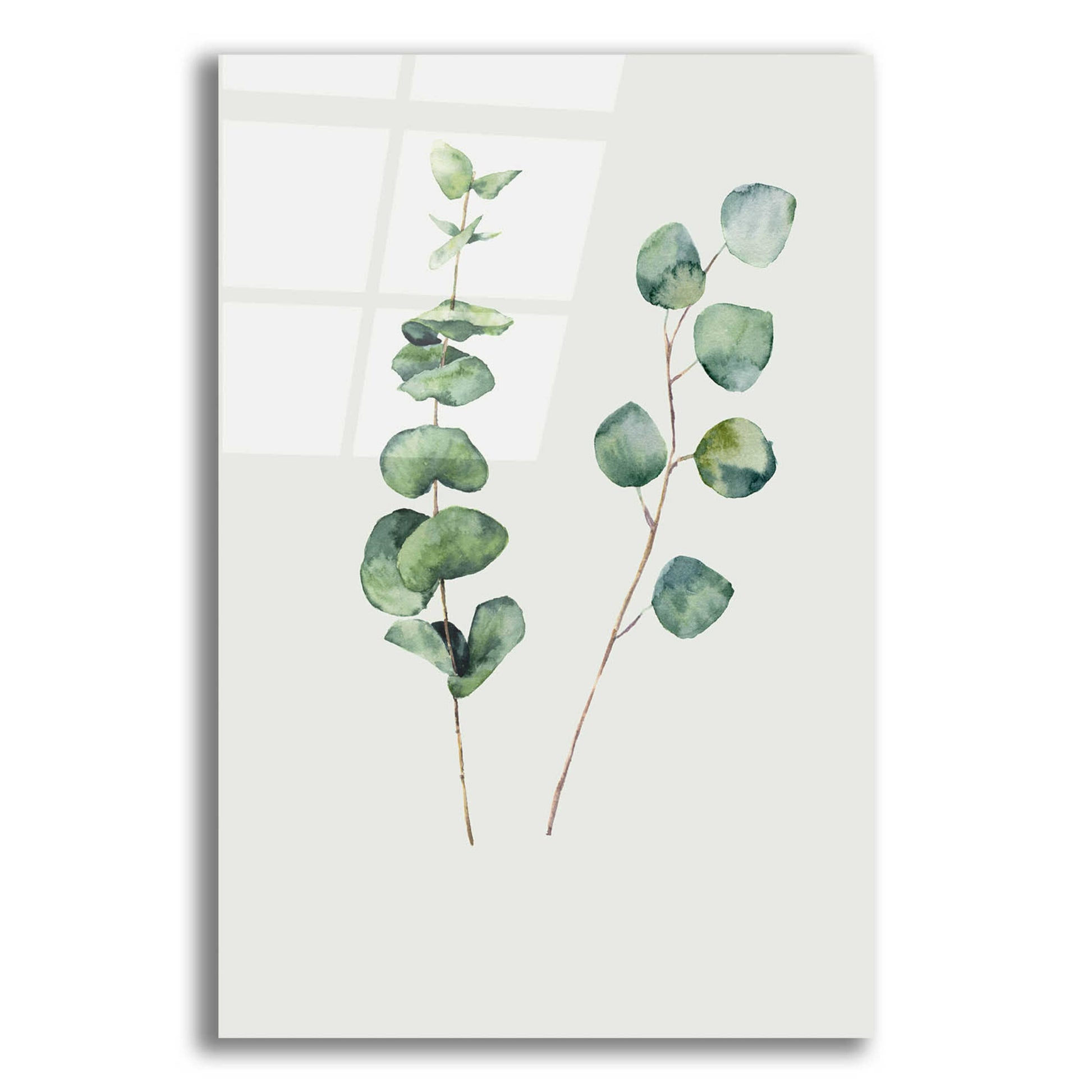 Epic Art 'Botanical I' by Incado, Acrylic Glass Wall Art