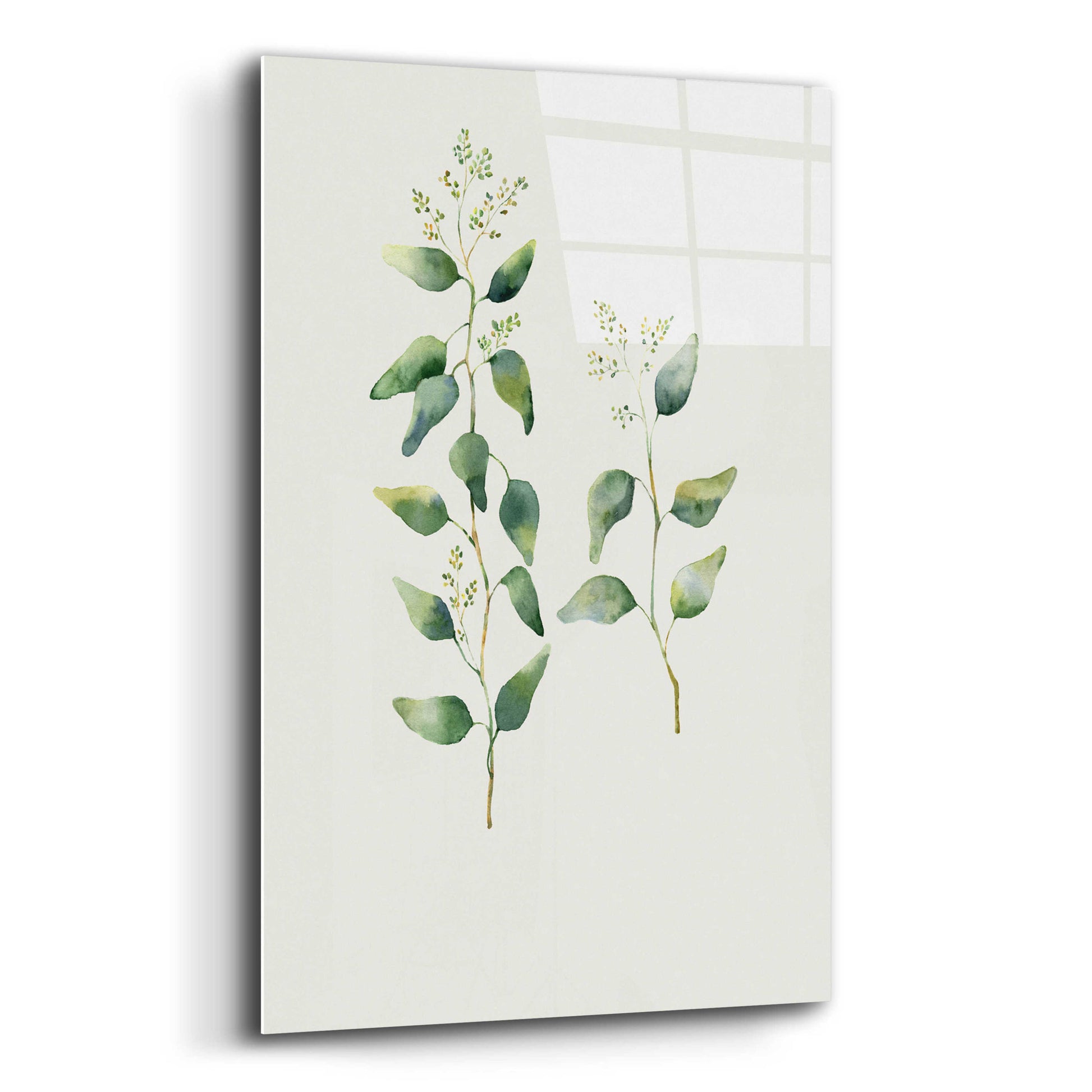 Epic Art 'Botanical II' by Incado, Acrylic Glass Wall Art,12x16