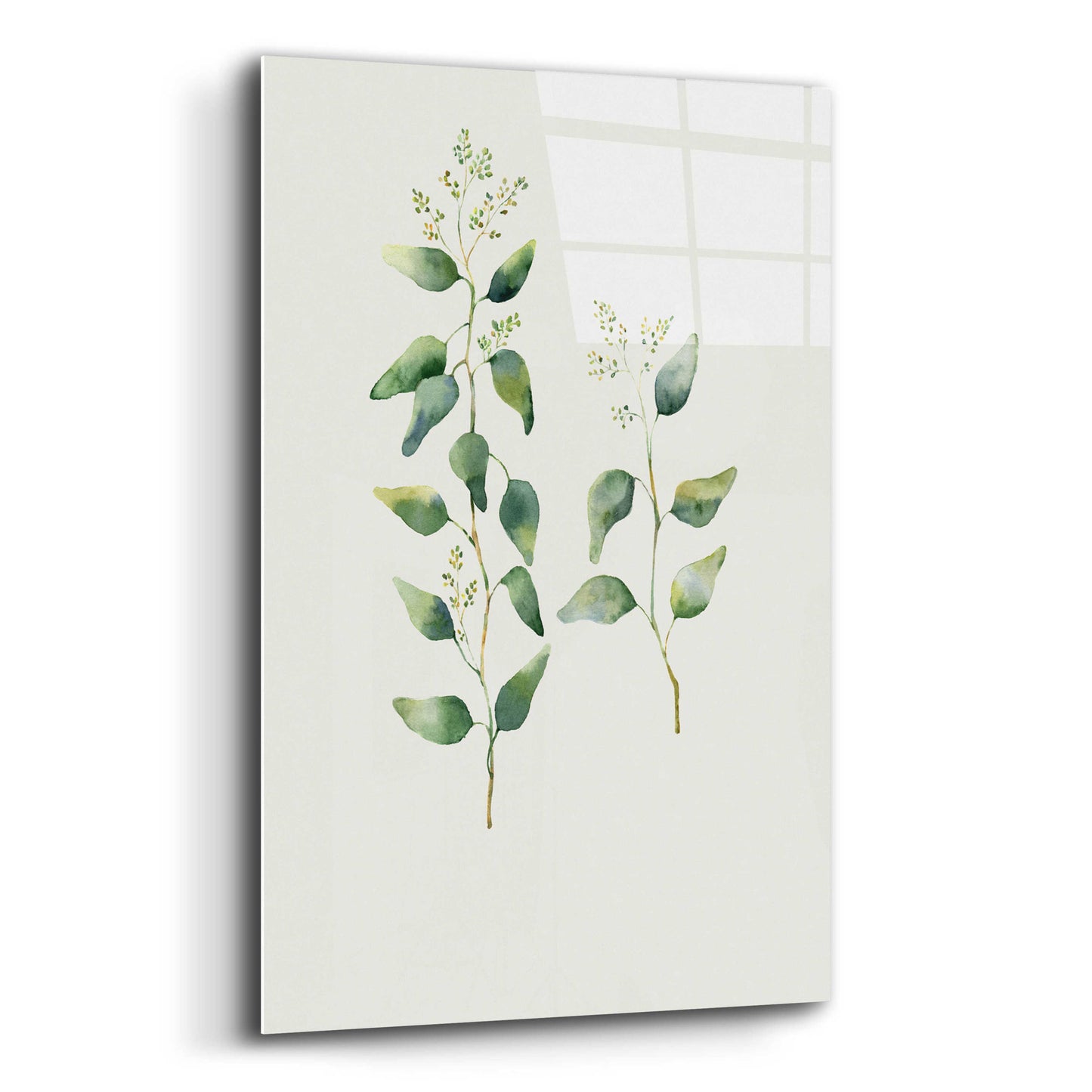 Epic Art 'Botanical II' by Incado, Acrylic Glass Wall Art,16x24