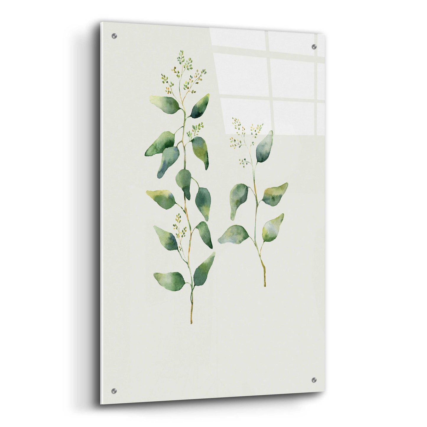 Epic Art 'Botanical II' by Incado, Acrylic Glass Wall Art,24x36