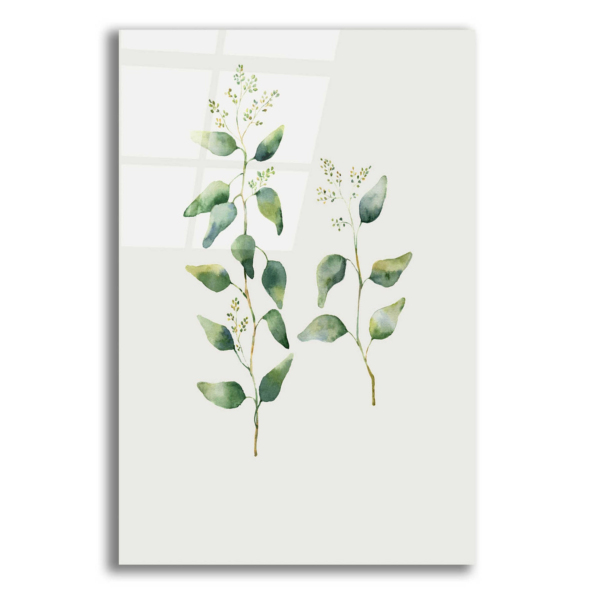 Epic Art 'Botanical II' by Incado, Acrylic Glass Wall Art