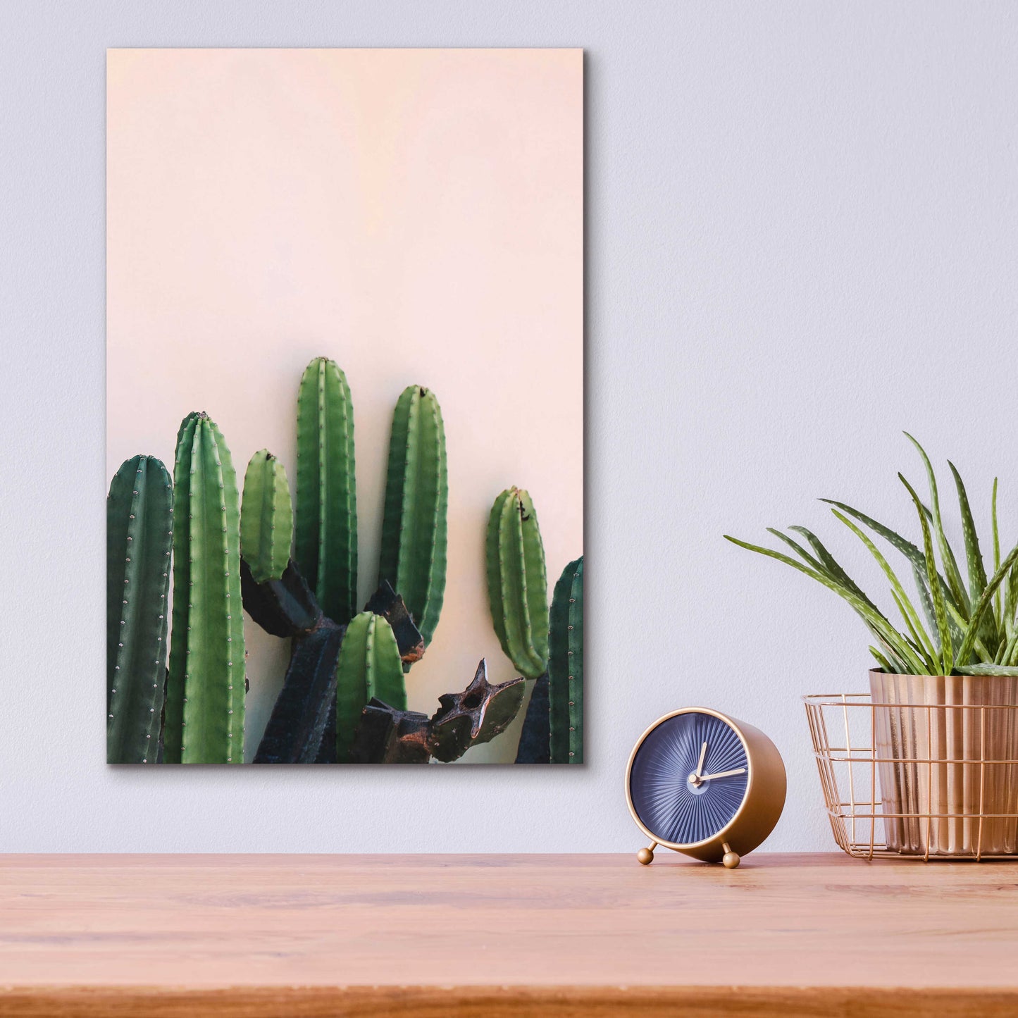 Epic Art 'Cactus on Pink' by Incado, Acrylic Glass Wall Art,12x16