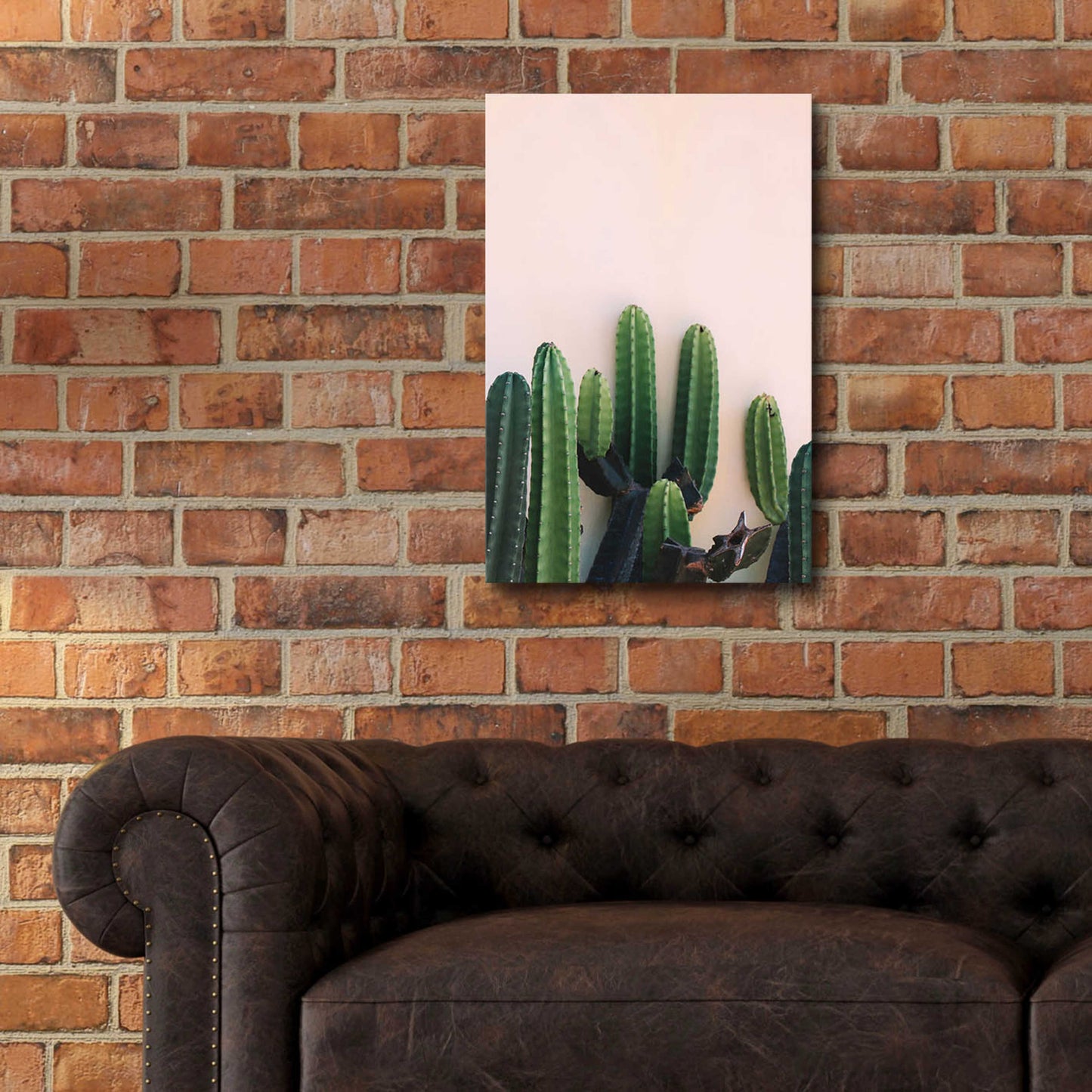 Epic Art 'Cactus on Pink' by Incado, Acrylic Glass Wall Art,16x24