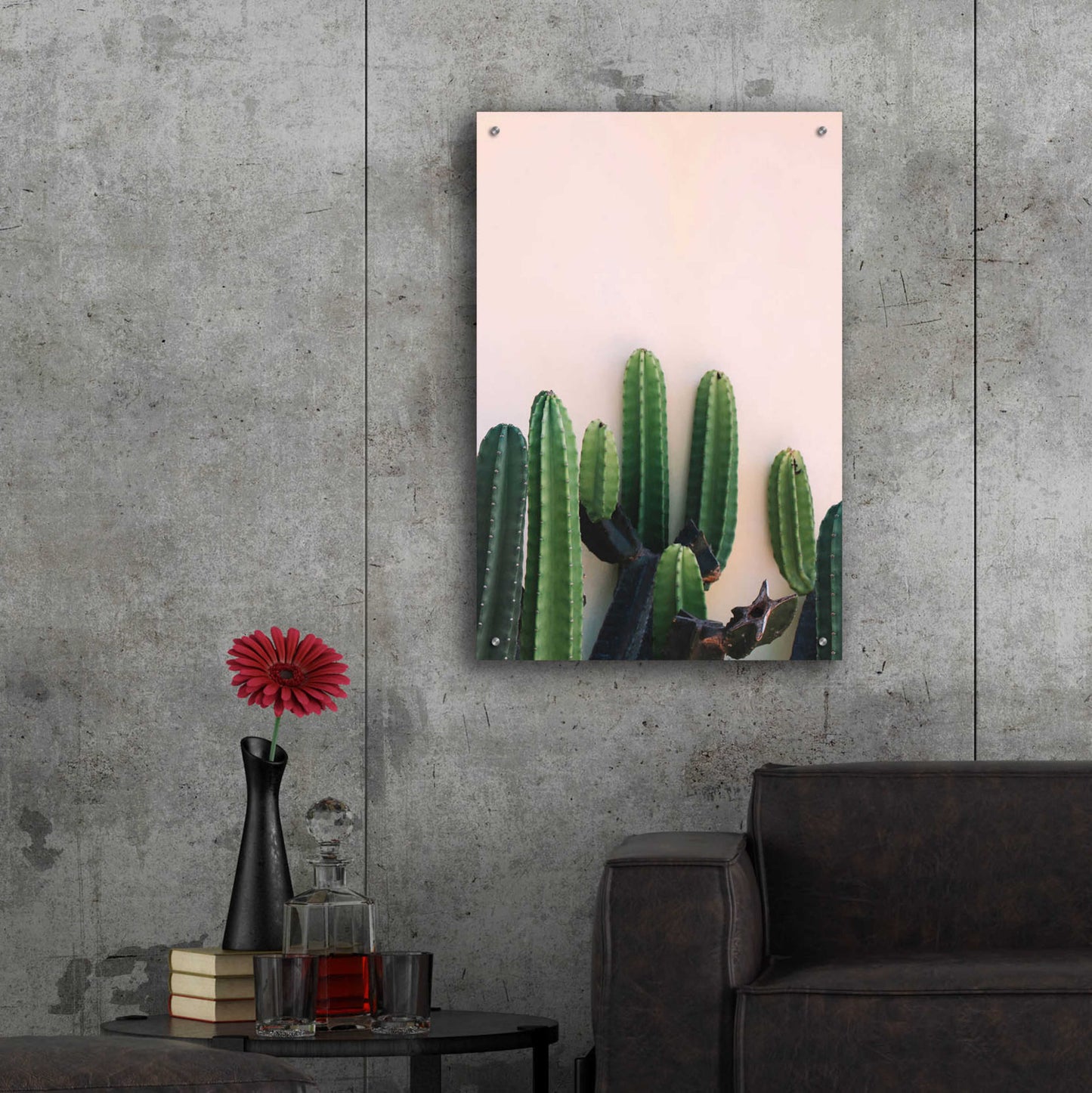 Epic Art 'Cactus on Pink' by Incado, Acrylic Glass Wall Art,24x36