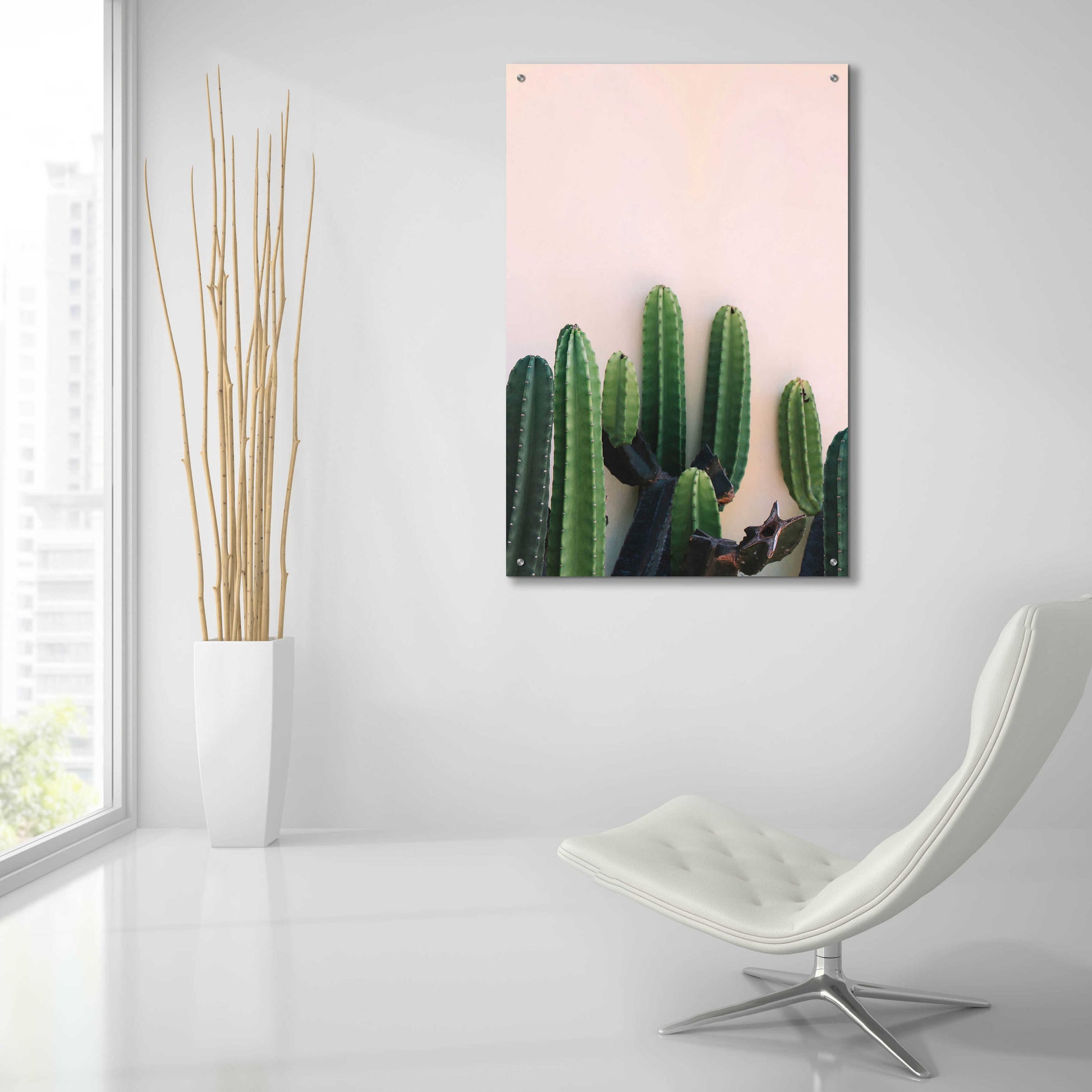 Epic Art 'Cactus on Pink' by Incado, Acrylic Glass Wall Art,24x36