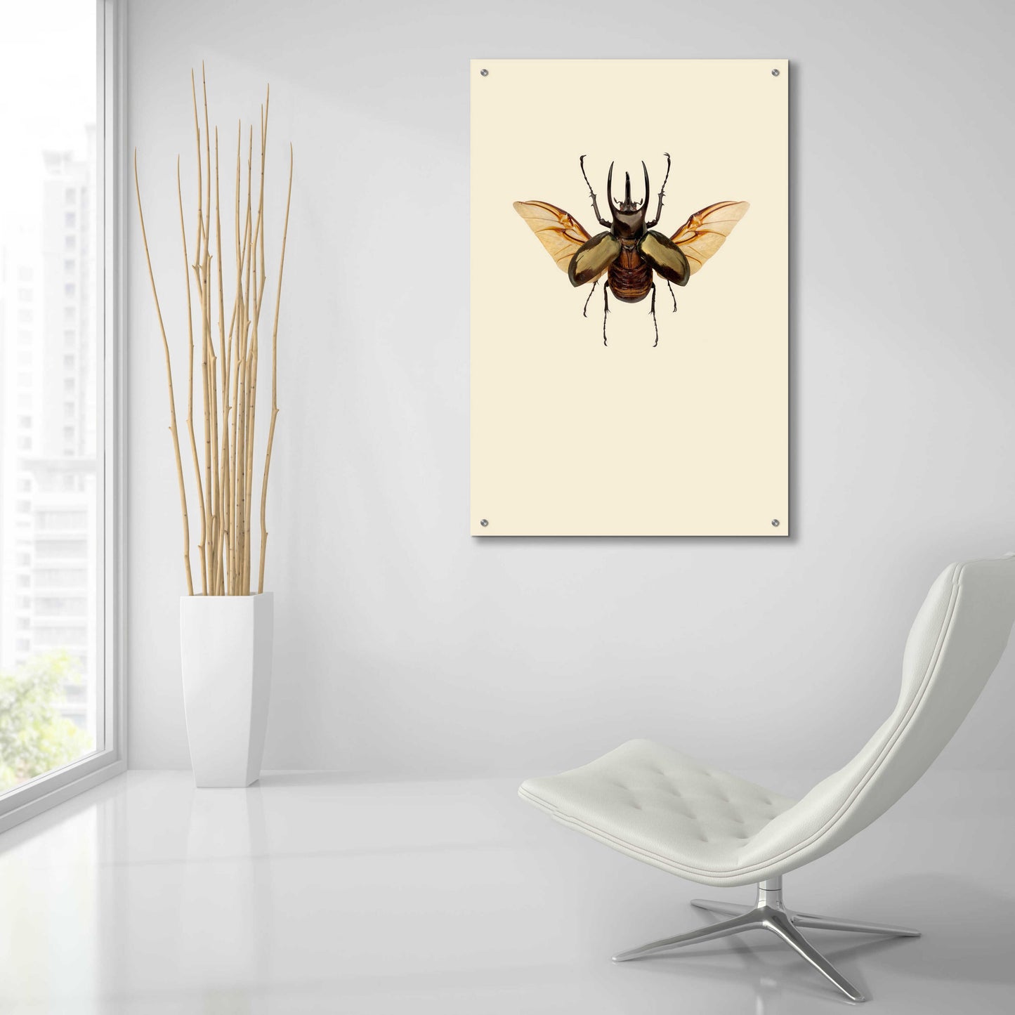 Epic Art 'Chalcosoma atlas' by Incado, Acrylic Glass Wall Art,24x36