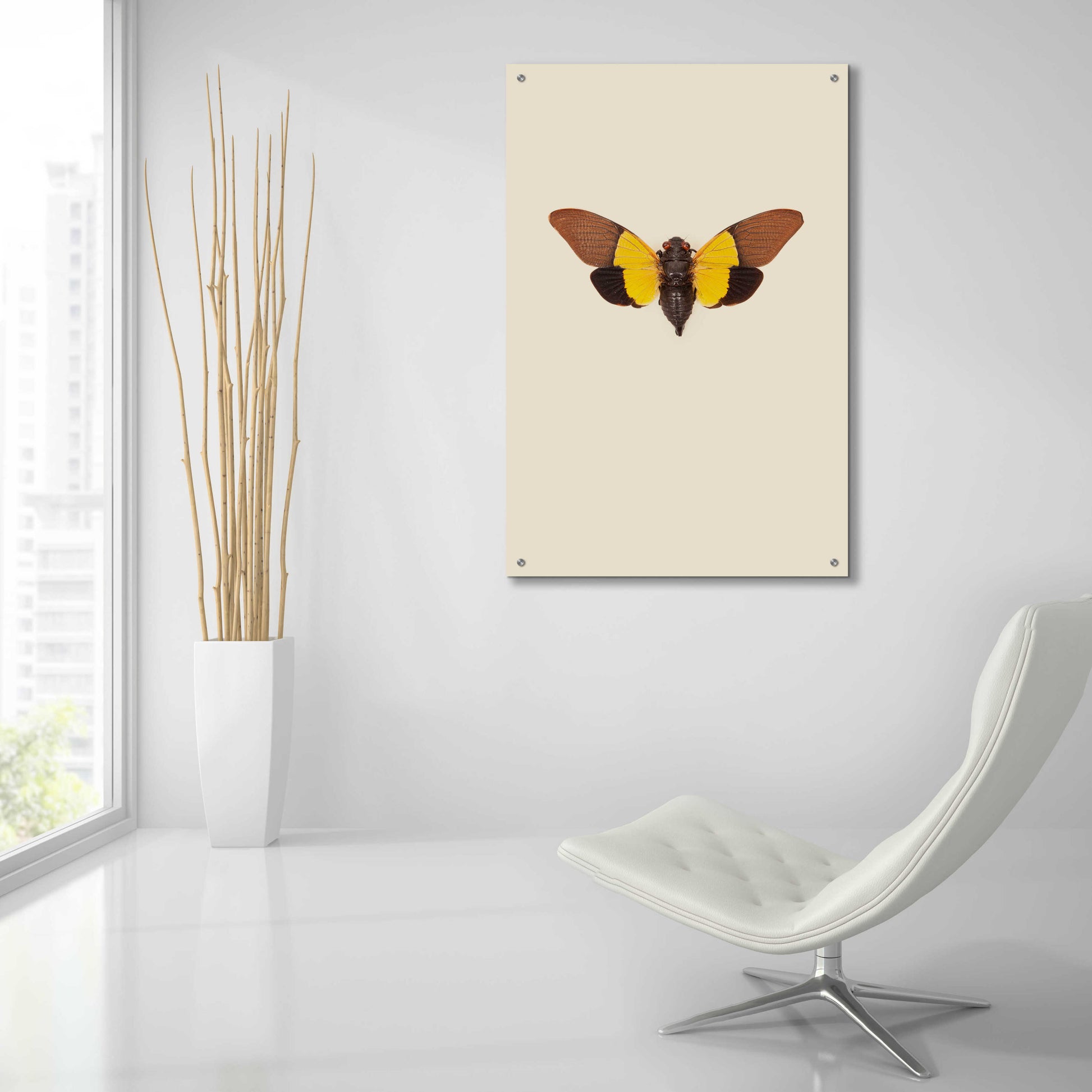 Epic Art 'Cicada' by Incado, Acrylic Glass Wall Art,24x36