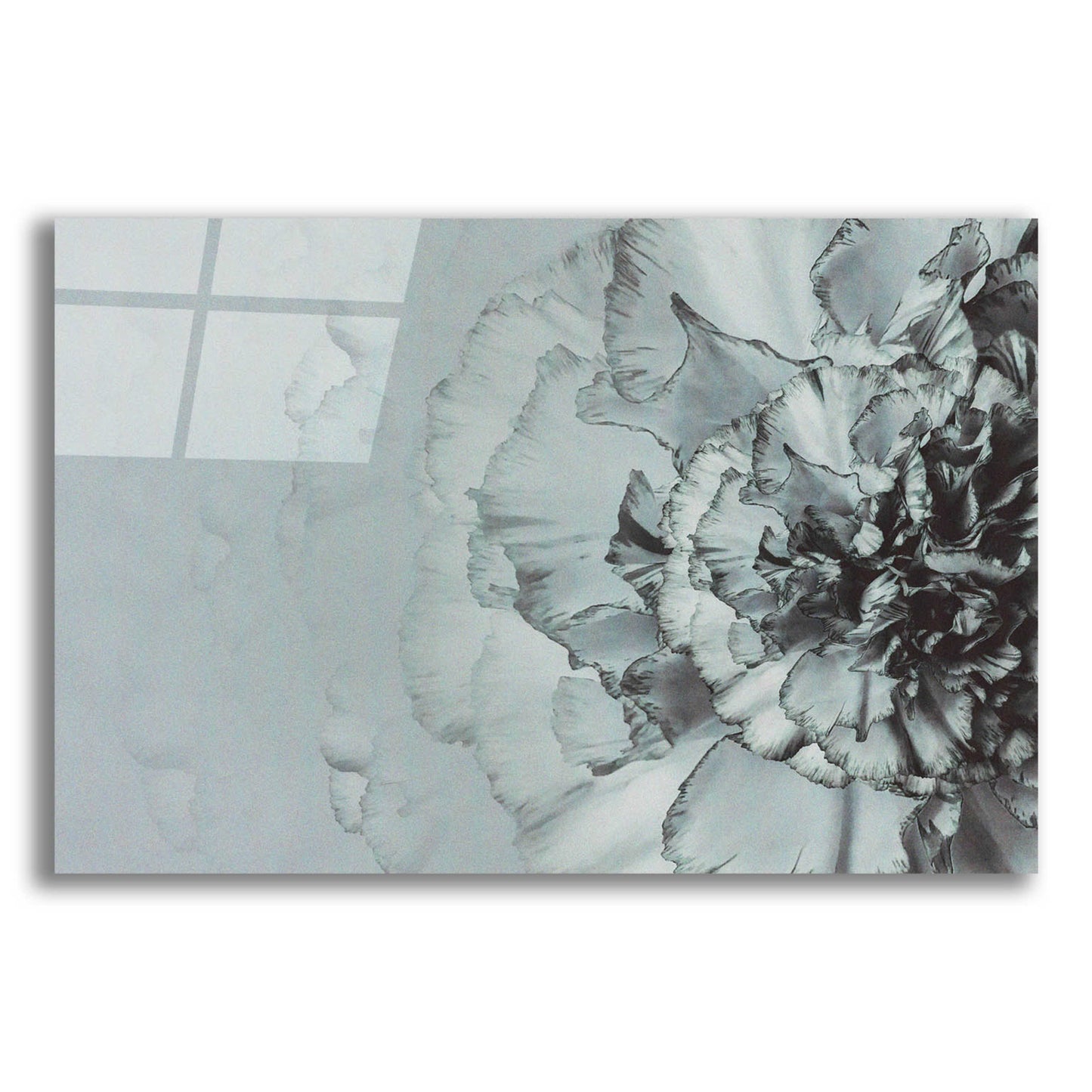 Epic Art 'Close Up Flower' by Incado, Acrylic Glass Wall Art,24x16