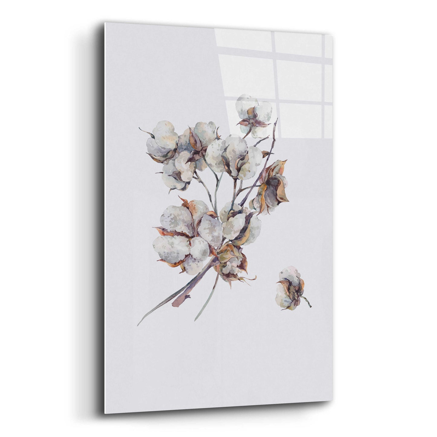 Epic Art 'Cotton III' by Incado, Acrylic Glass Wall Art,12x16