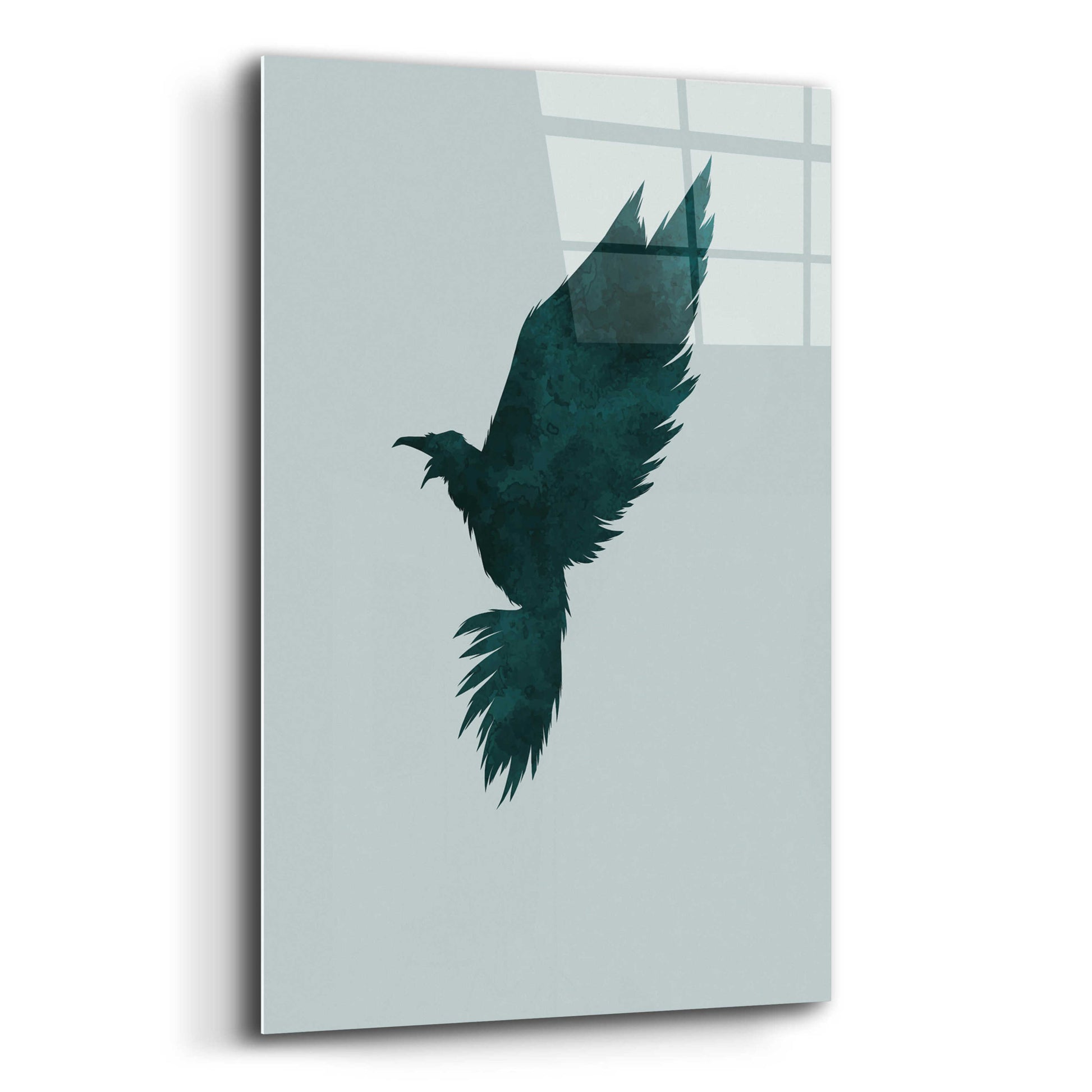 Epic Art 'Crow' by Incado, Acrylic Glass Wall Art,12x16