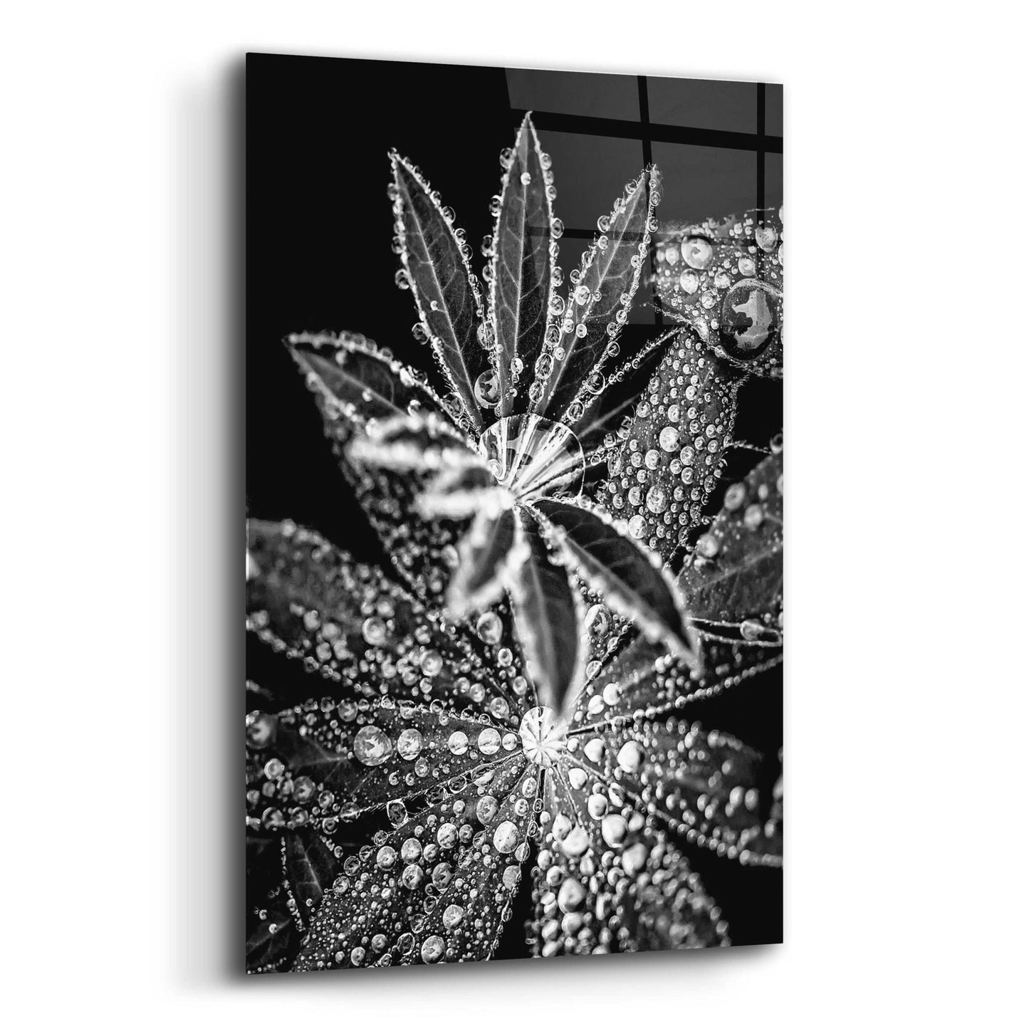 Epic Art 'Crystal I' by Incado, Acrylic Glass Wall Art,12x16