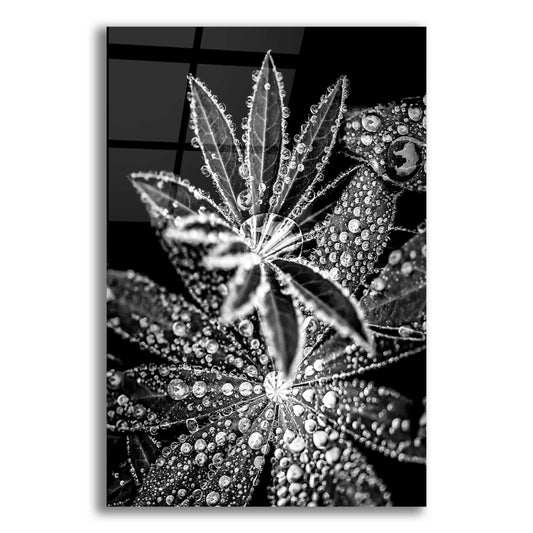 Epic Art 'Crystal I' by Incado, Acrylic Glass Wall Art