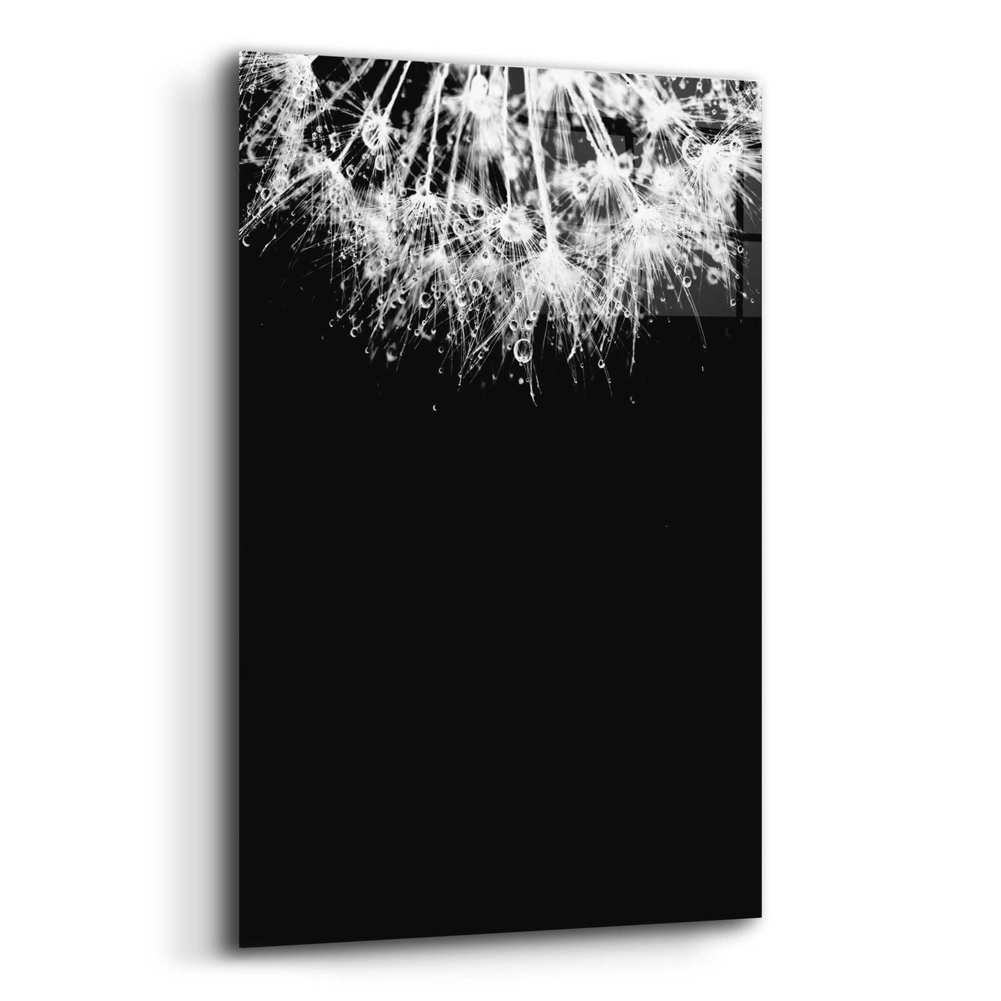 Epic Art 'Crystal II' by Incado, Acrylic Glass Wall Art,12x16