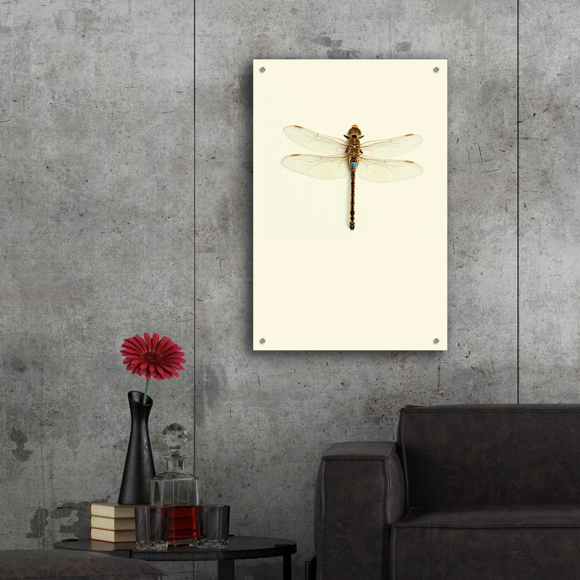 Epic Art 'Dragonfly I' by Incado, Acrylic Glass Wall Art,24x36