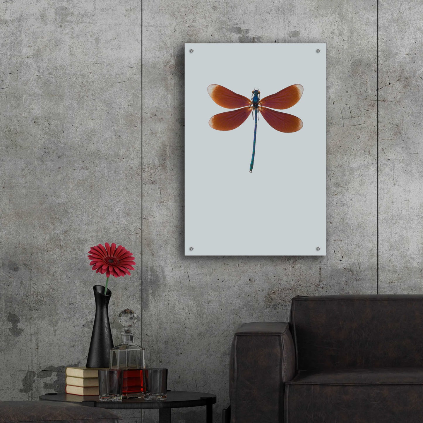 Epic Art 'Dragonfly II' by Incado, Acrylic Glass Wall Art,24x36