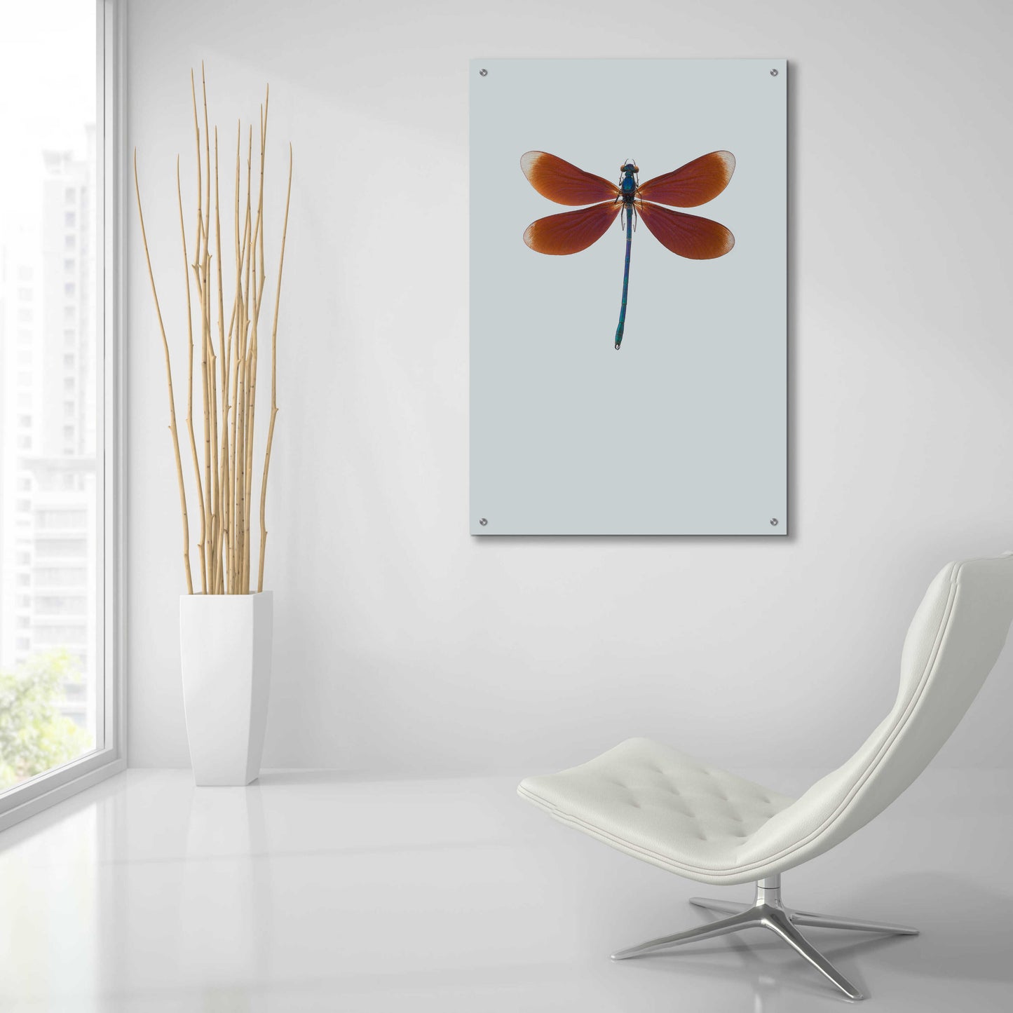 Epic Art 'Dragonfly II' by Incado, Acrylic Glass Wall Art,24x36