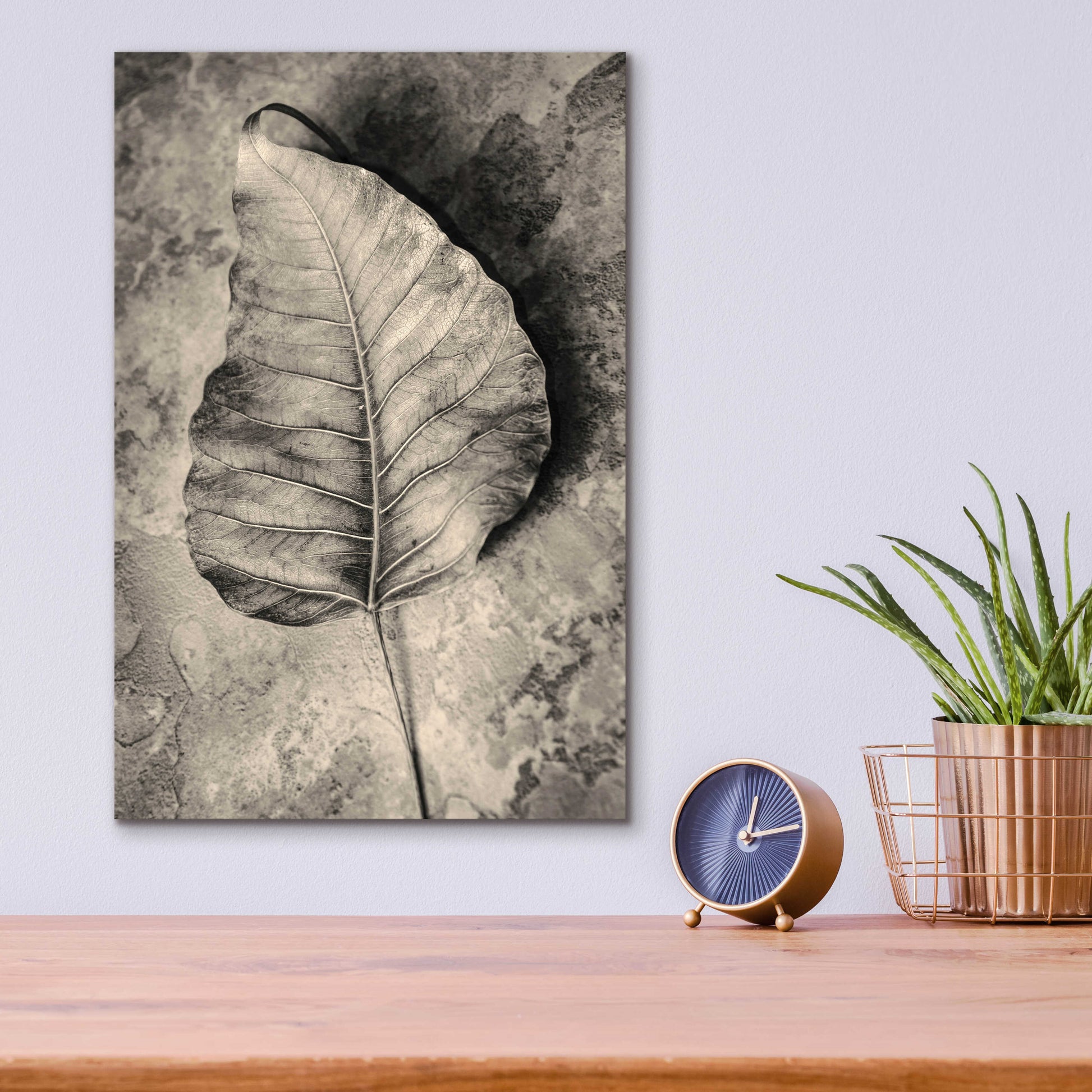 Epic Art 'Dried Leaf' by Incado, Acrylic Glass Wall Art,12x16