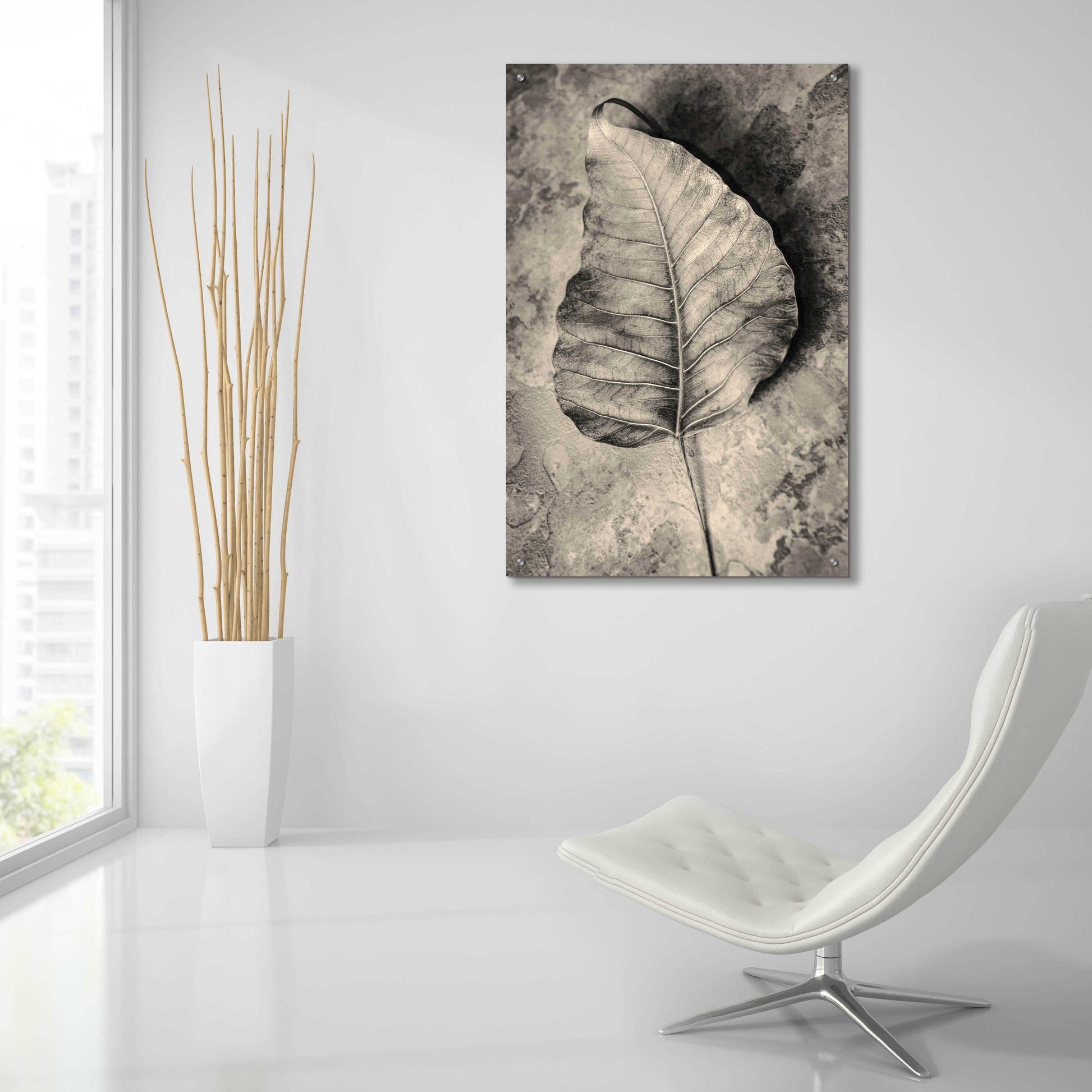 Epic Art 'Dried Leaf' by Incado, Acrylic Glass Wall Art,24x36