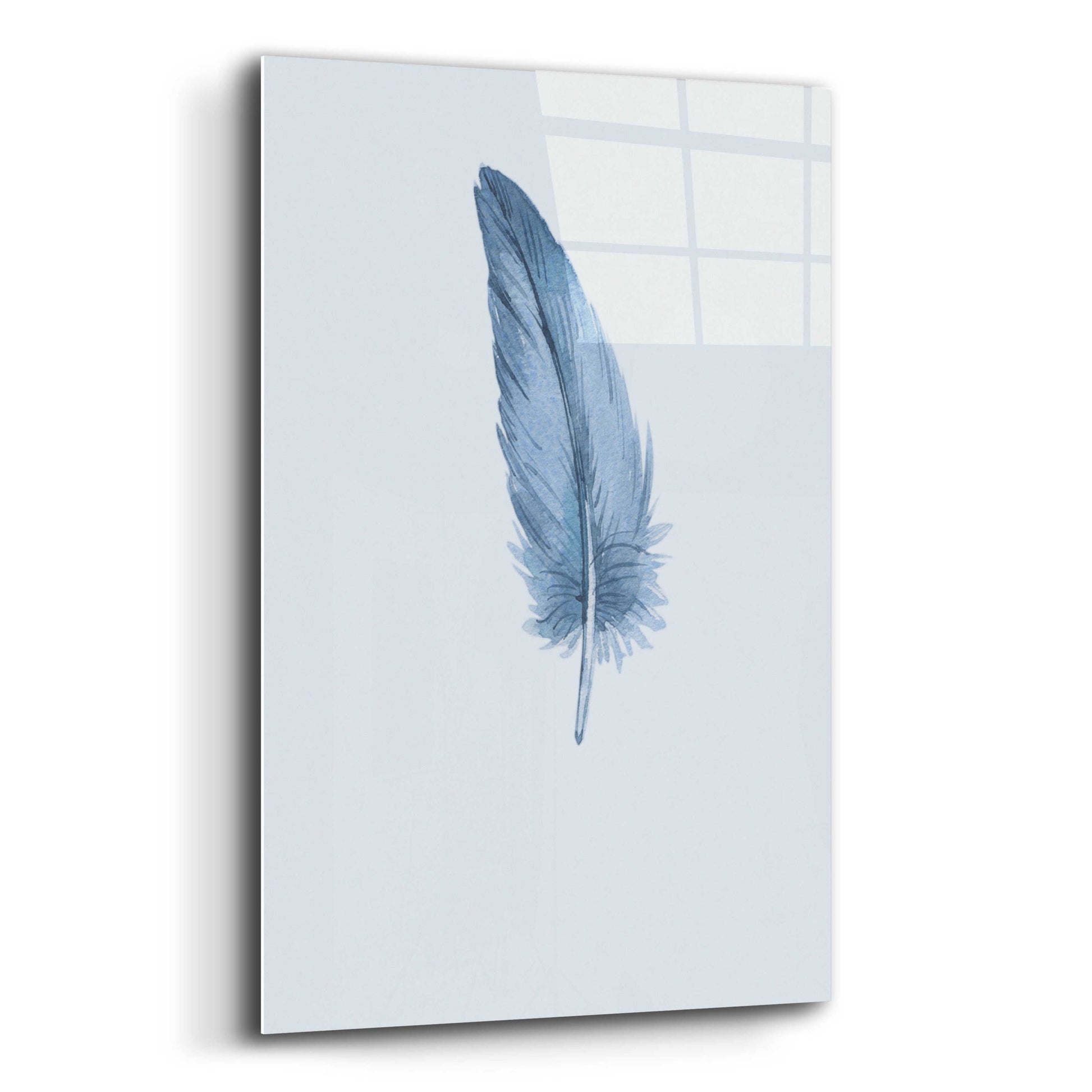 Epic Art 'Feather 1' by Incado, Acrylic Glass Wall Art,12x16