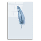 Epic Art 'Feather 1' by Incado, Acrylic Glass Wall Art