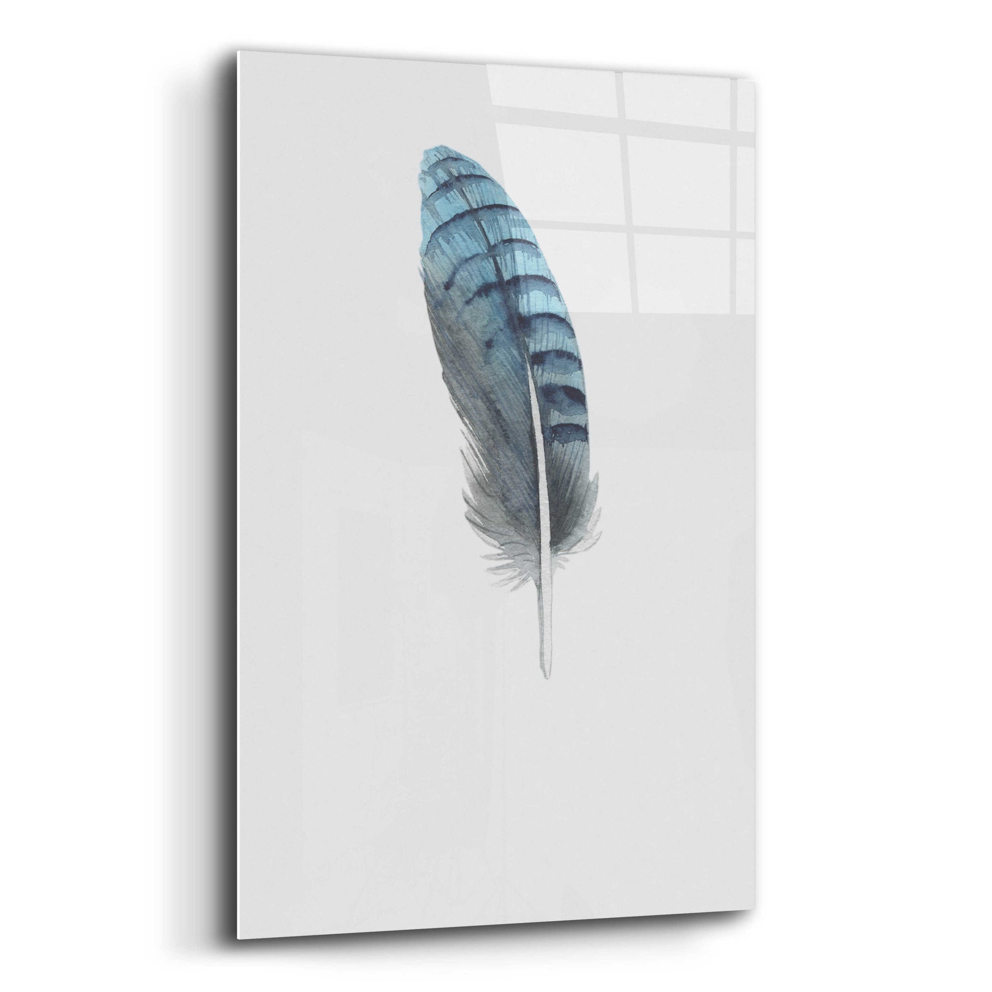 Epic Art 'Feather 2' by Incado, Acrylic Glass Wall Art,12x16