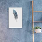 Epic Art 'Feather 2' by Incado, Acrylic Glass Wall Art,16x24