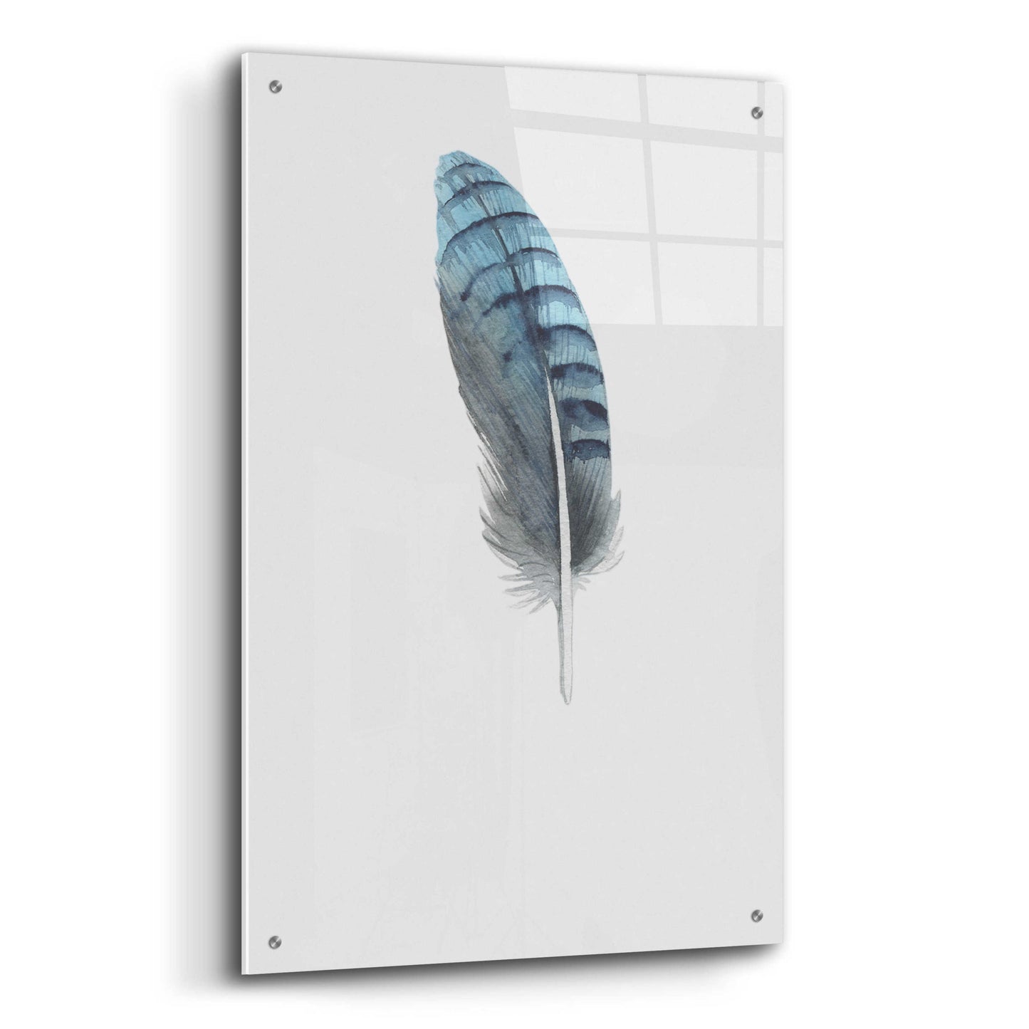 Epic Art 'Feather 2' by Incado, Acrylic Glass Wall Art,24x36