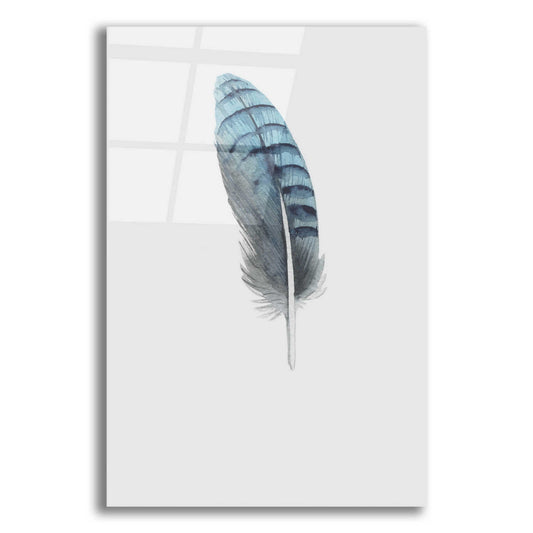 Epic Art 'Feather 2' by Incado, Acrylic Glass Wall Art