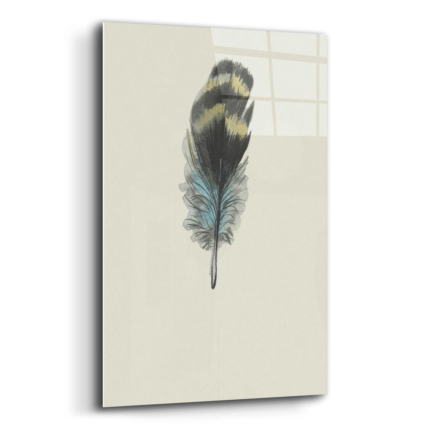 Epic Art 'Feather 3' by Incado, Acrylic Glass Wall Art,12x16