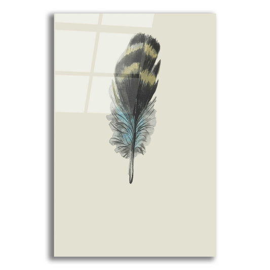 Epic Art 'Feather 3' by Incado, Acrylic Glass Wall Art