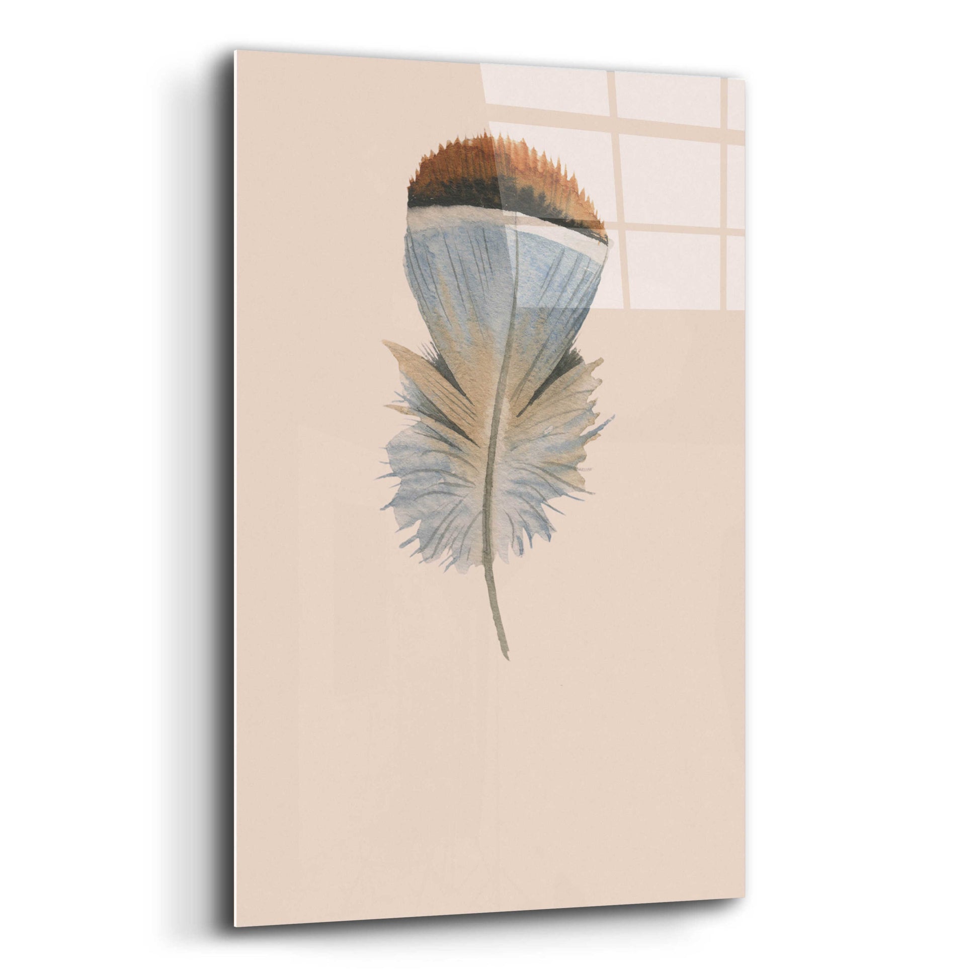 Epic Art 'Feather 4' by Incado, Acrylic Glass Wall Art,12x16