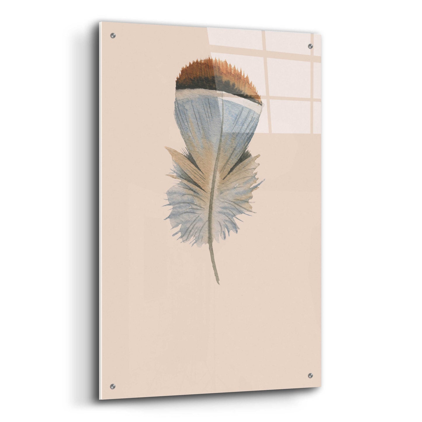 Epic Art 'Feather 4' by Incado, Acrylic Glass Wall Art,24x36