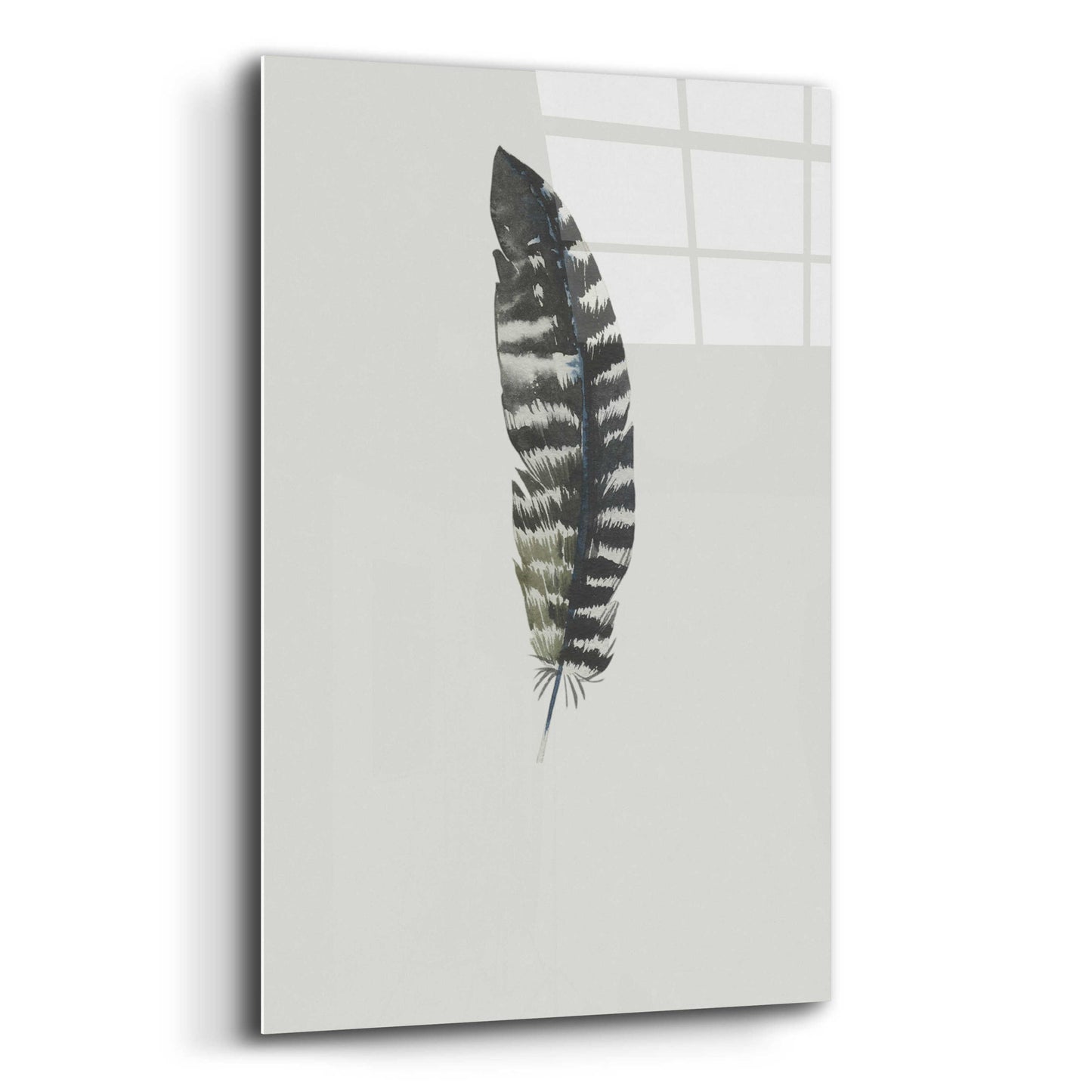 Epic Art 'Feather 5' by Incado, Acrylic Glass Wall Art,12x16