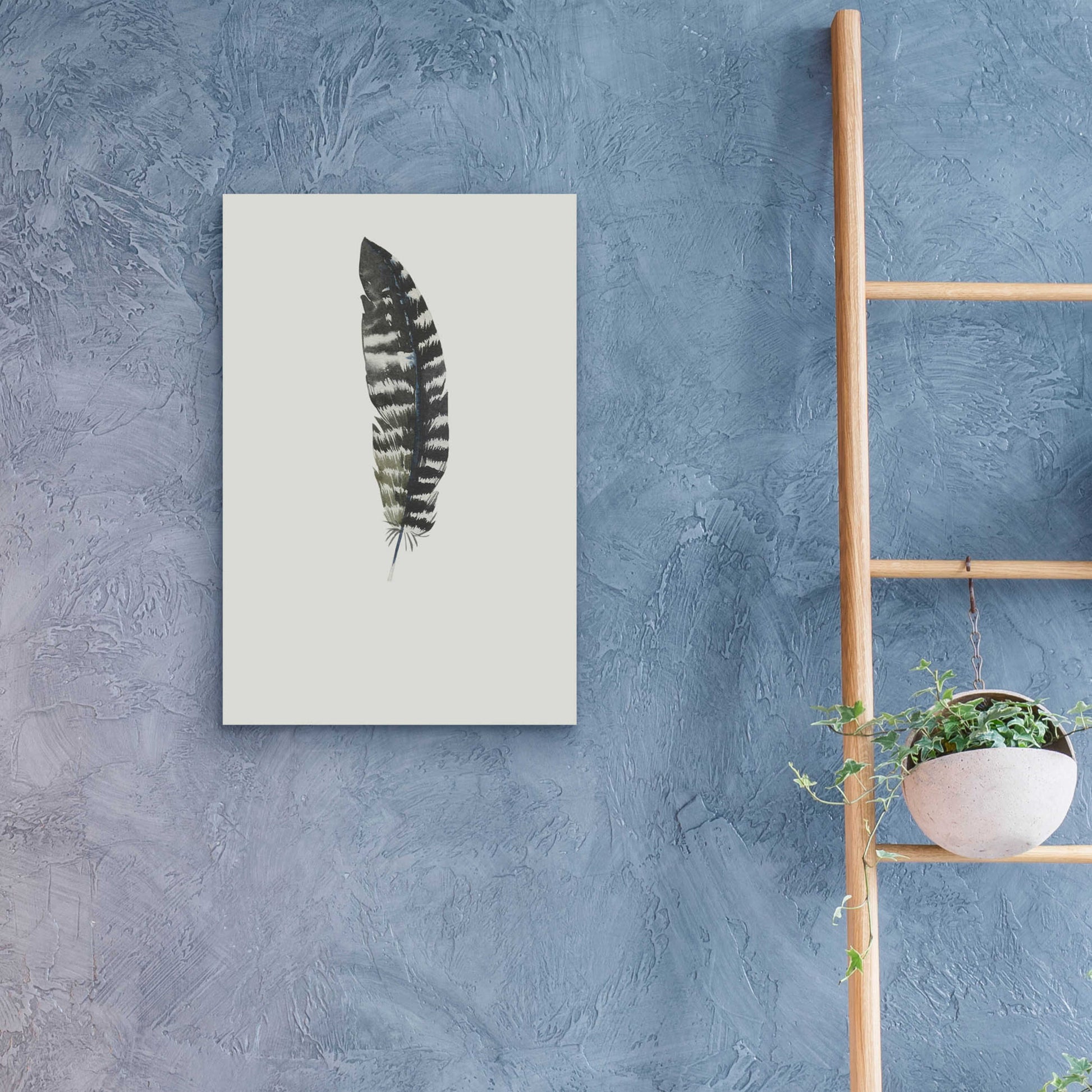 Epic Art 'Feather 5' by Incado, Acrylic Glass Wall Art,16x24