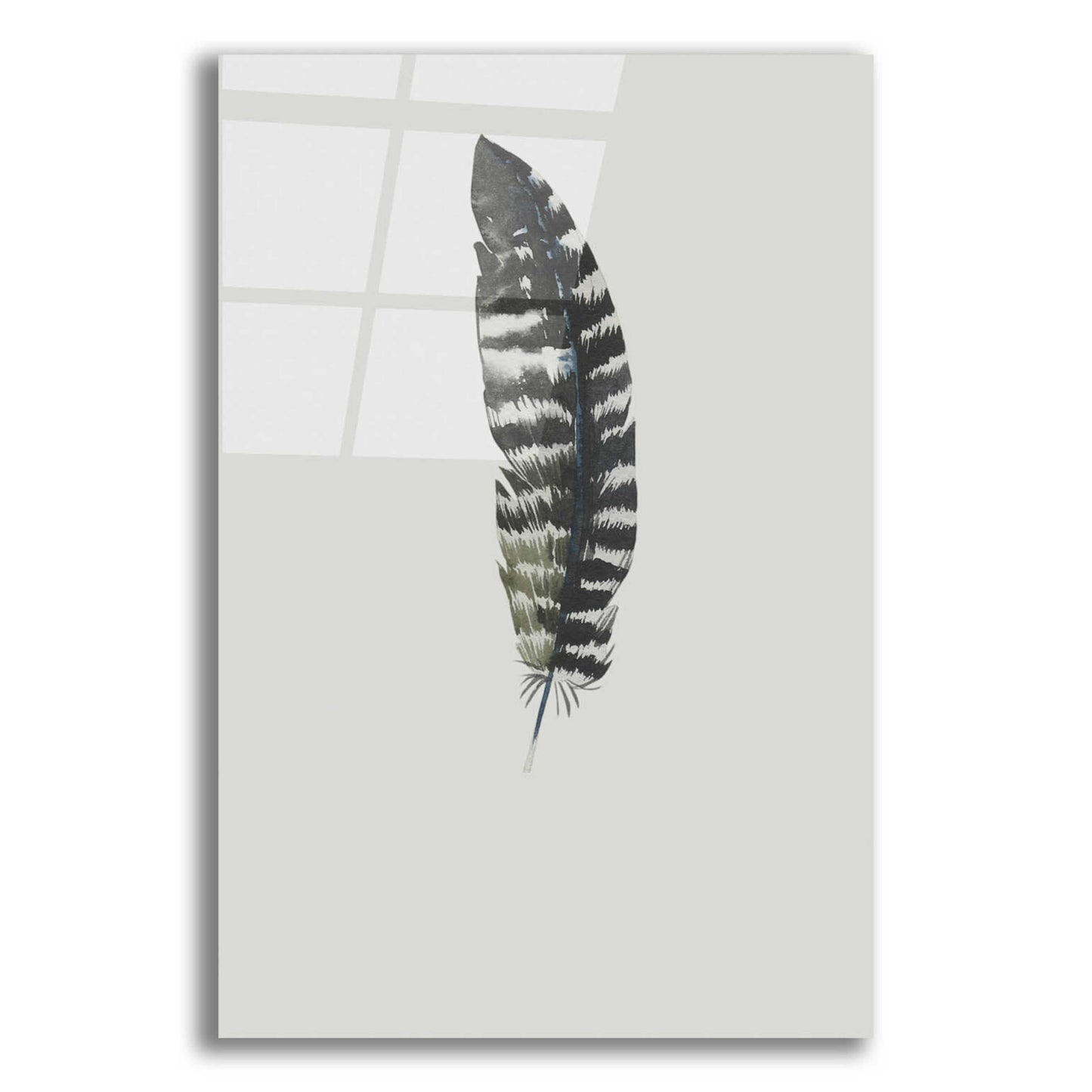 Epic Art 'Feather 5' by Incado, Acrylic Glass Wall Art