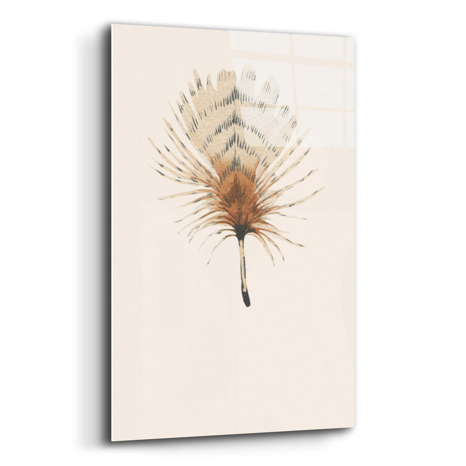 Epic Art 'Feather 6' by Incado, Acrylic Glass Wall Art,12x16