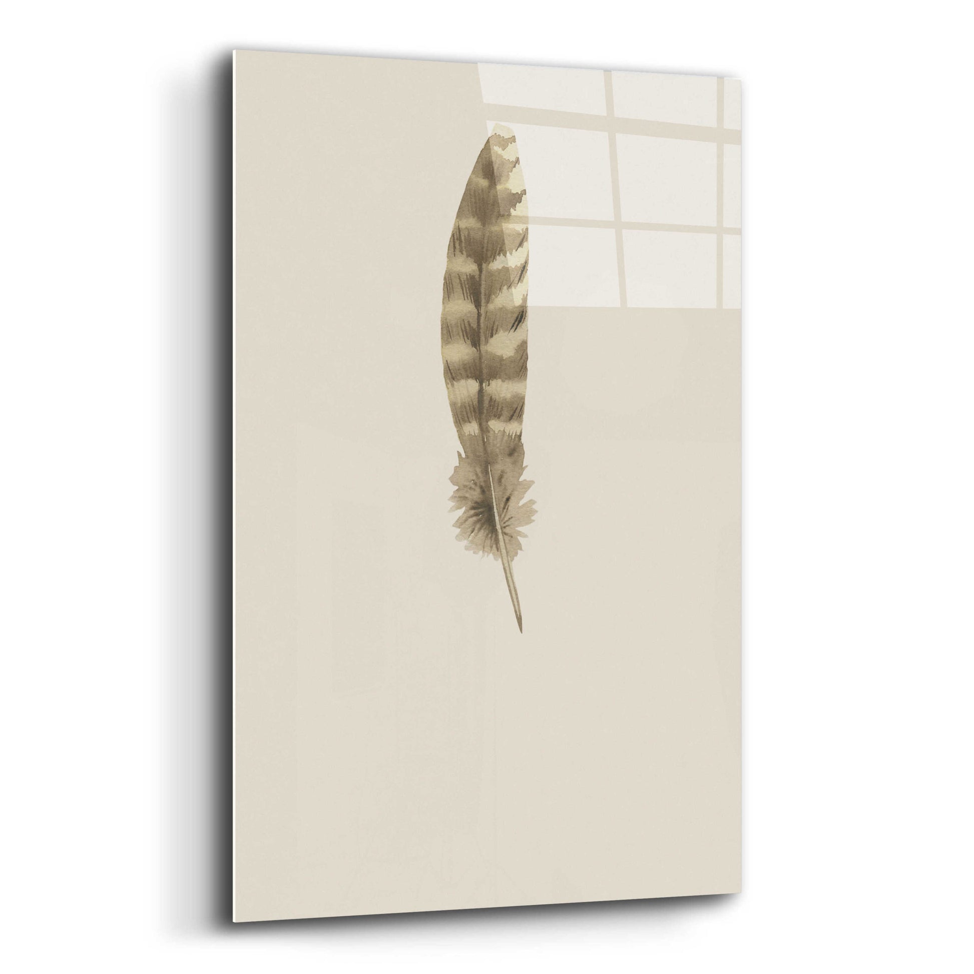 Epic Art 'Feather 7' by Incado, Acrylic Glass Wall Art,12x16