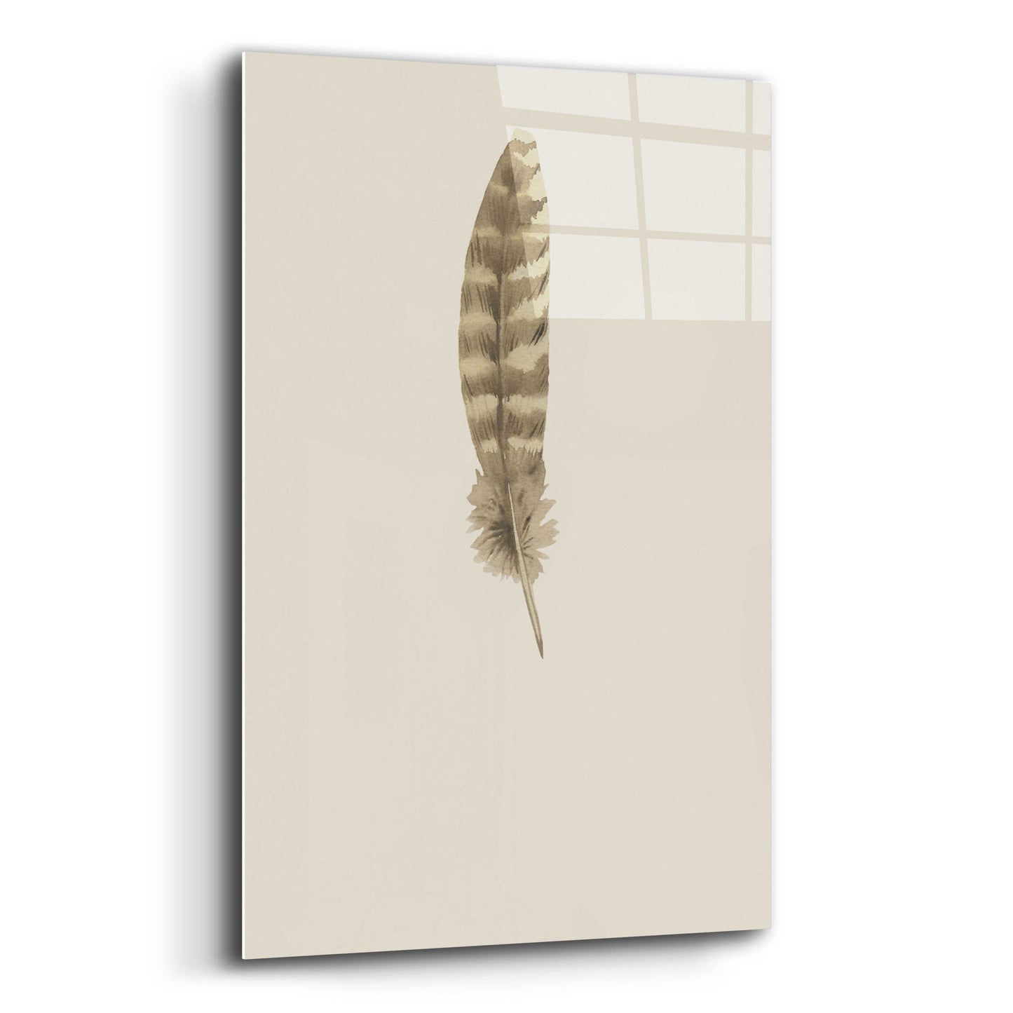 Epic Art 'Feather 7' by Incado, Acrylic Glass Wall Art,16x24