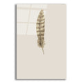 Epic Art 'Feather 7' by Incado, Acrylic Glass Wall Art