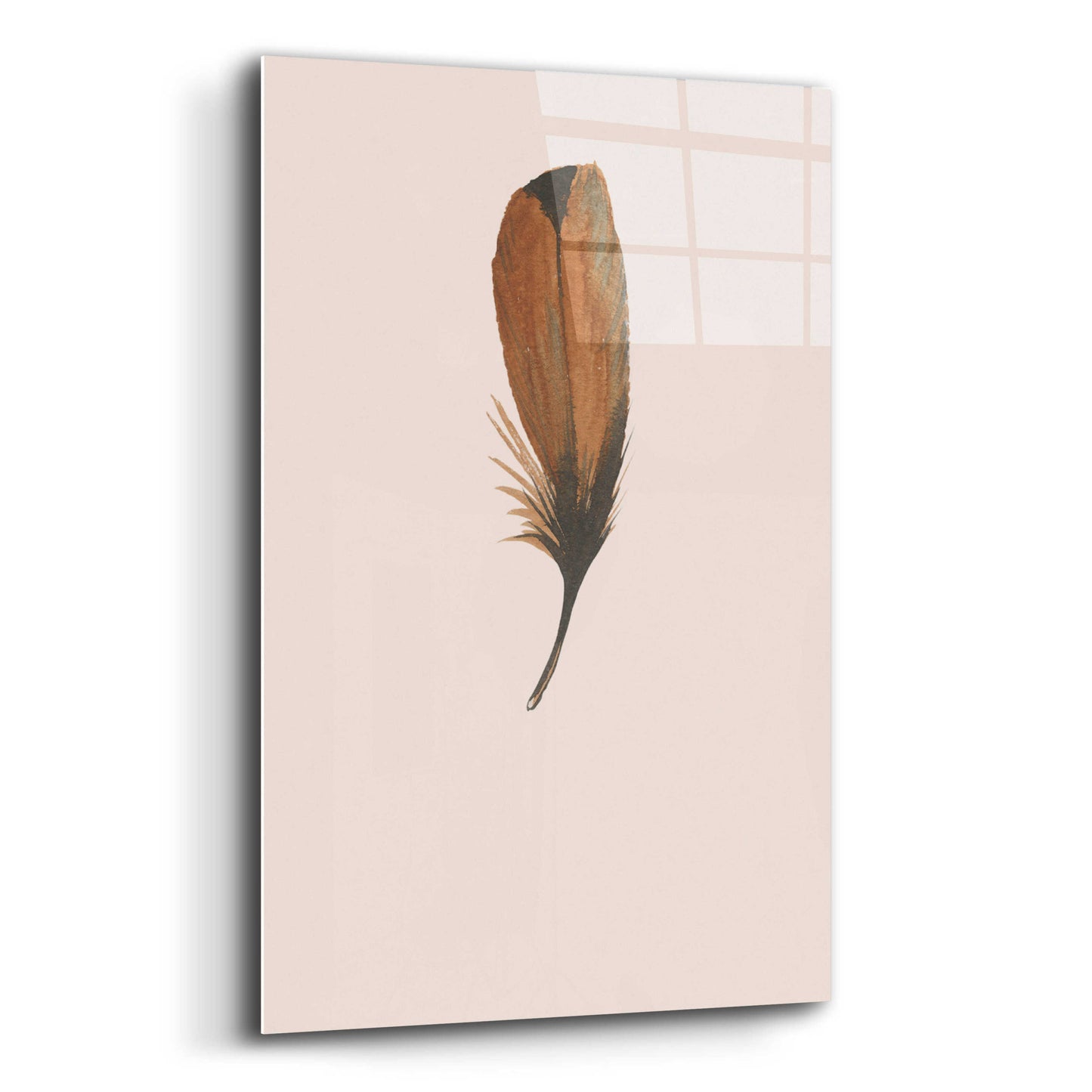 Epic Art 'Feather 8' by Incado, Acrylic Glass Wall Art,12x16