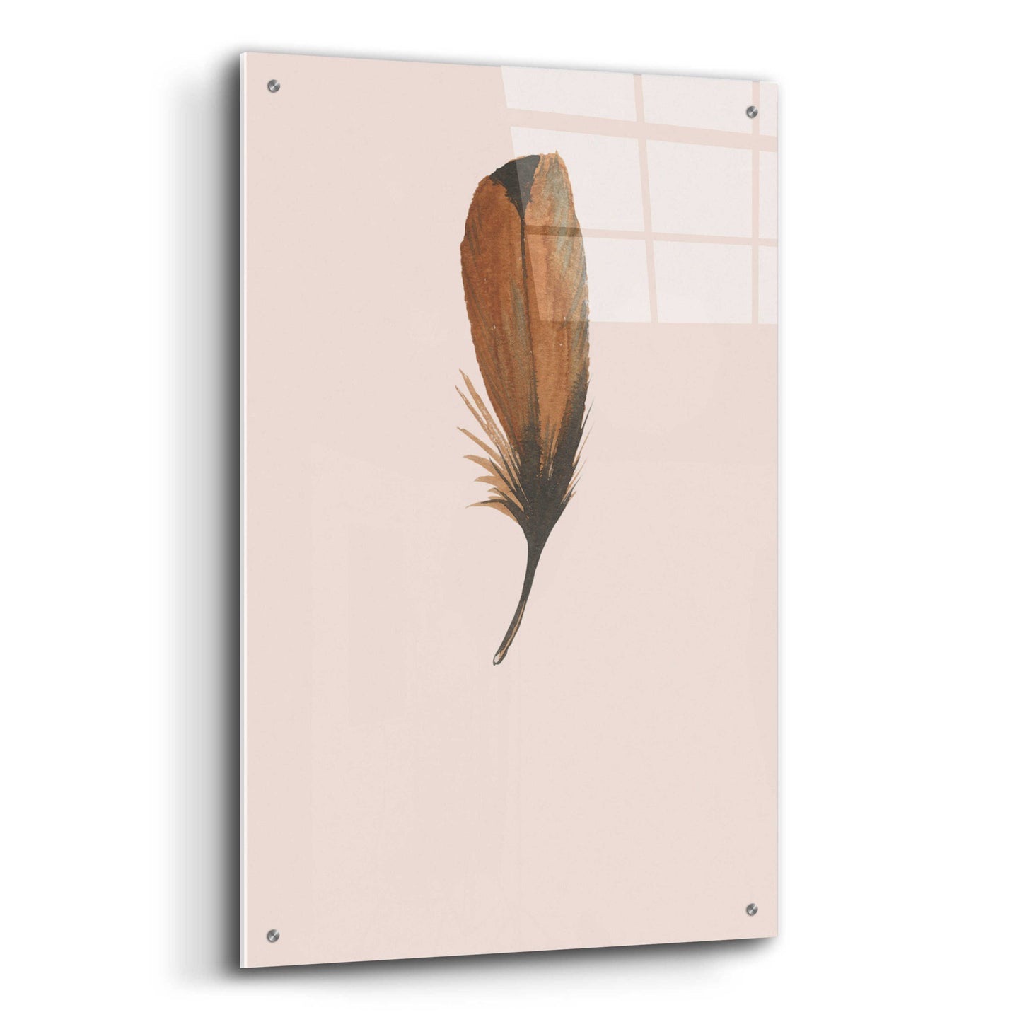 Epic Art 'Feather 8' by Incado, Acrylic Glass Wall Art,24x36