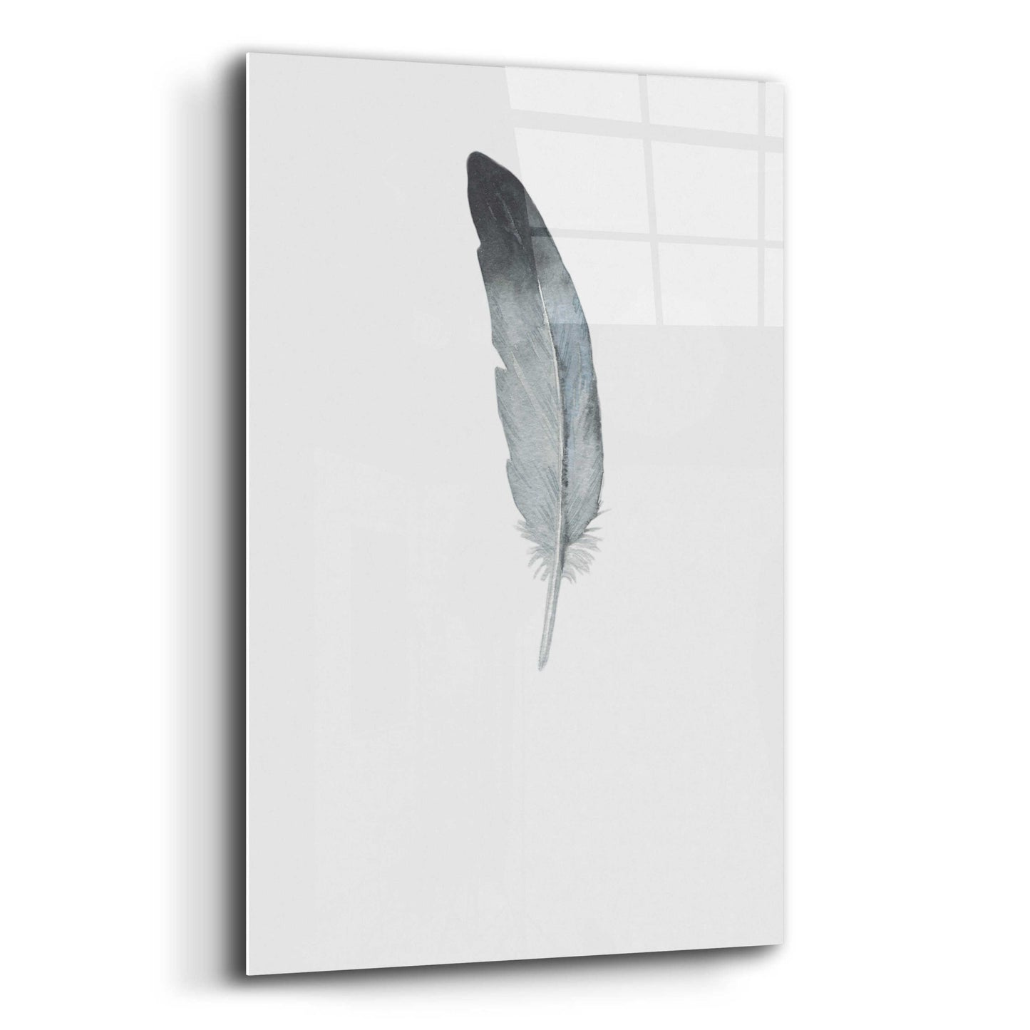 Epic Art 'Feather 9' by Incado, Acrylic Glass Wall Art,12x16