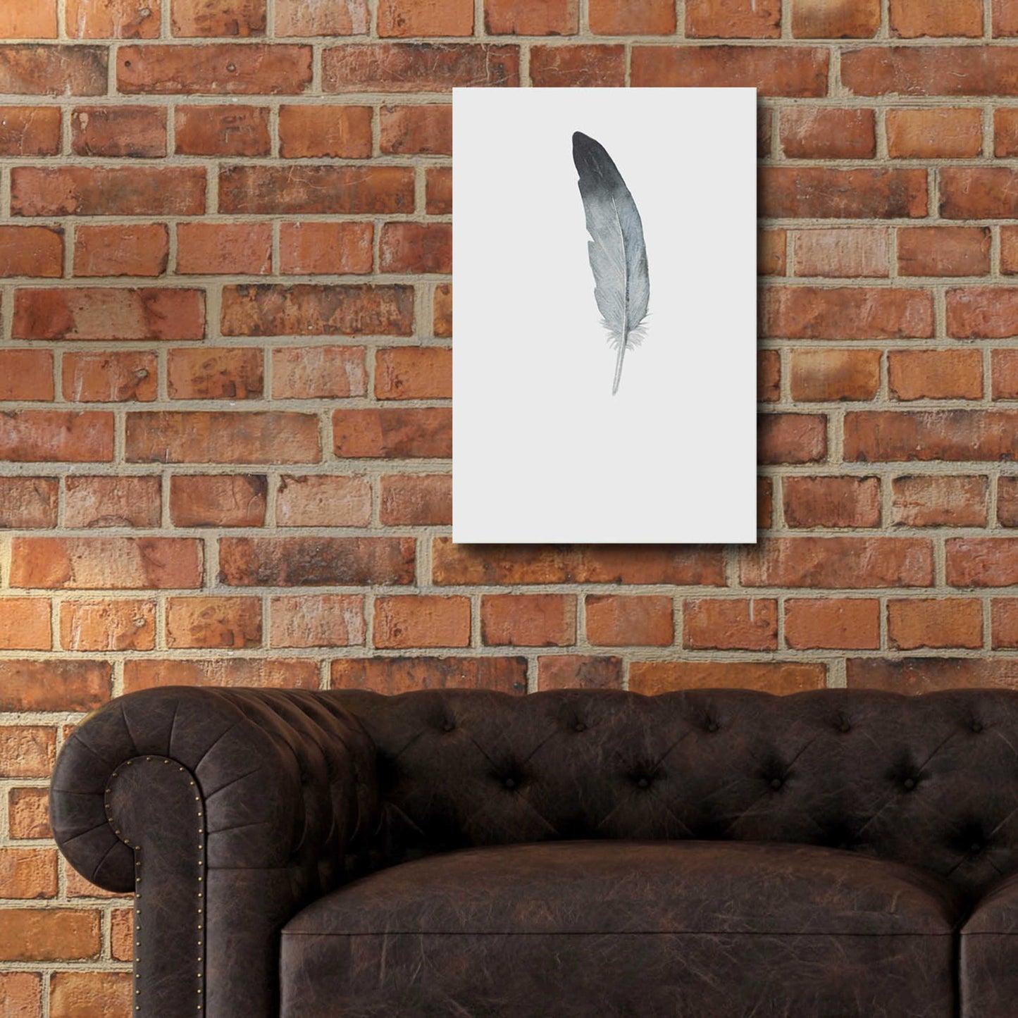 Epic Art 'Feather 9' by Incado, Acrylic Glass Wall Art,16x24