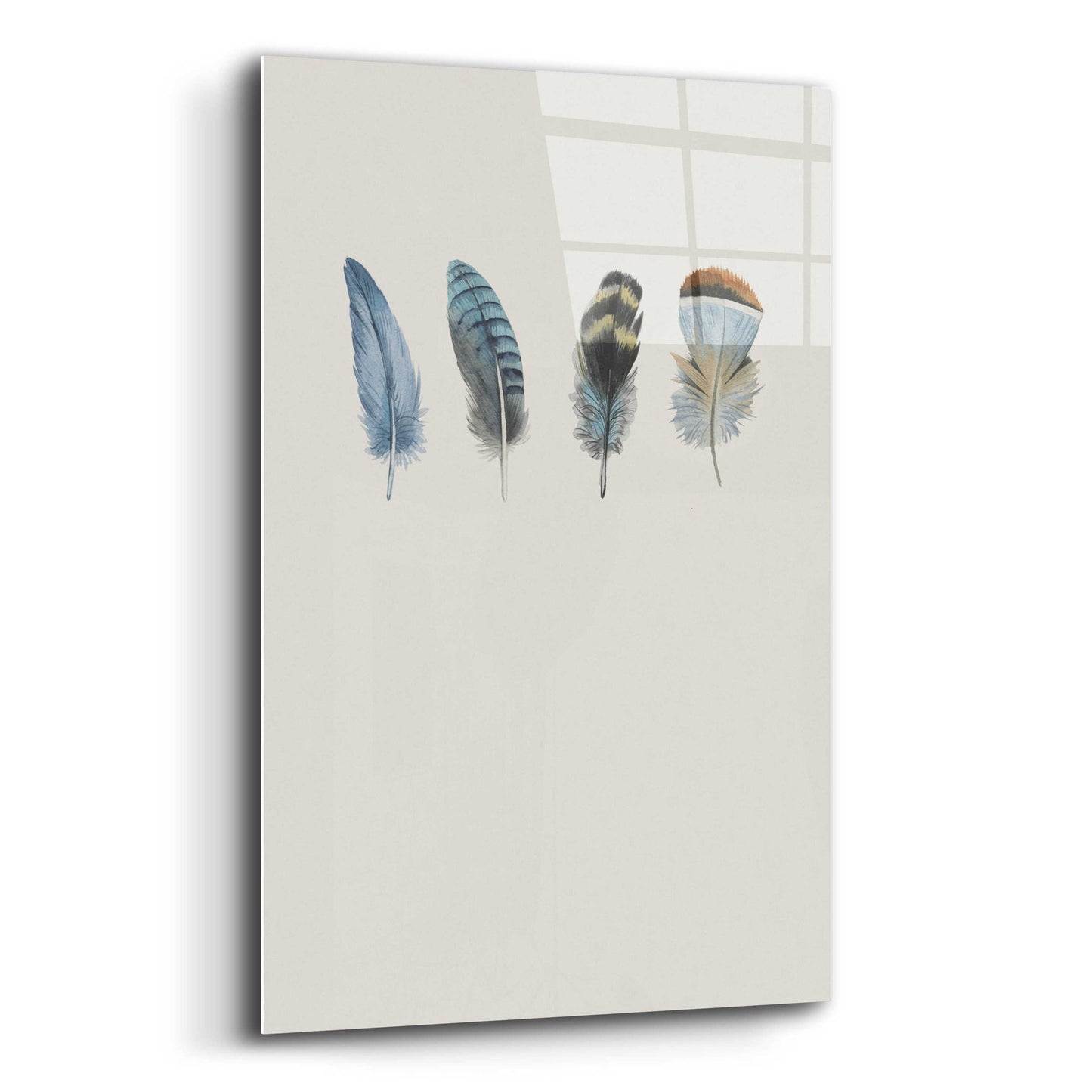 Epic Art 'Feather 11' by Incado, Acrylic Glass Wall Art,12x16