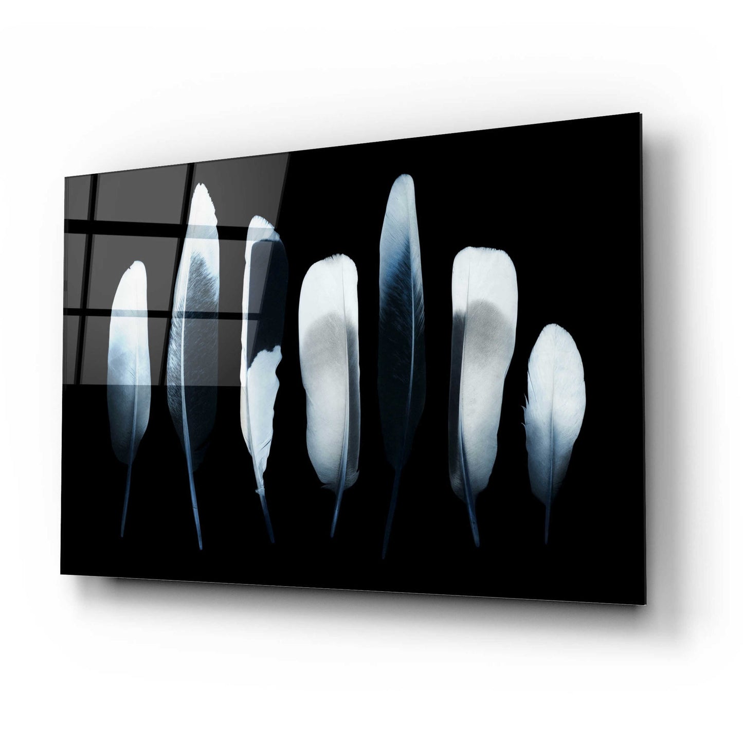 Epic Art 'Feathers' by Incado, Acrylic Glass Wall Art,24x16